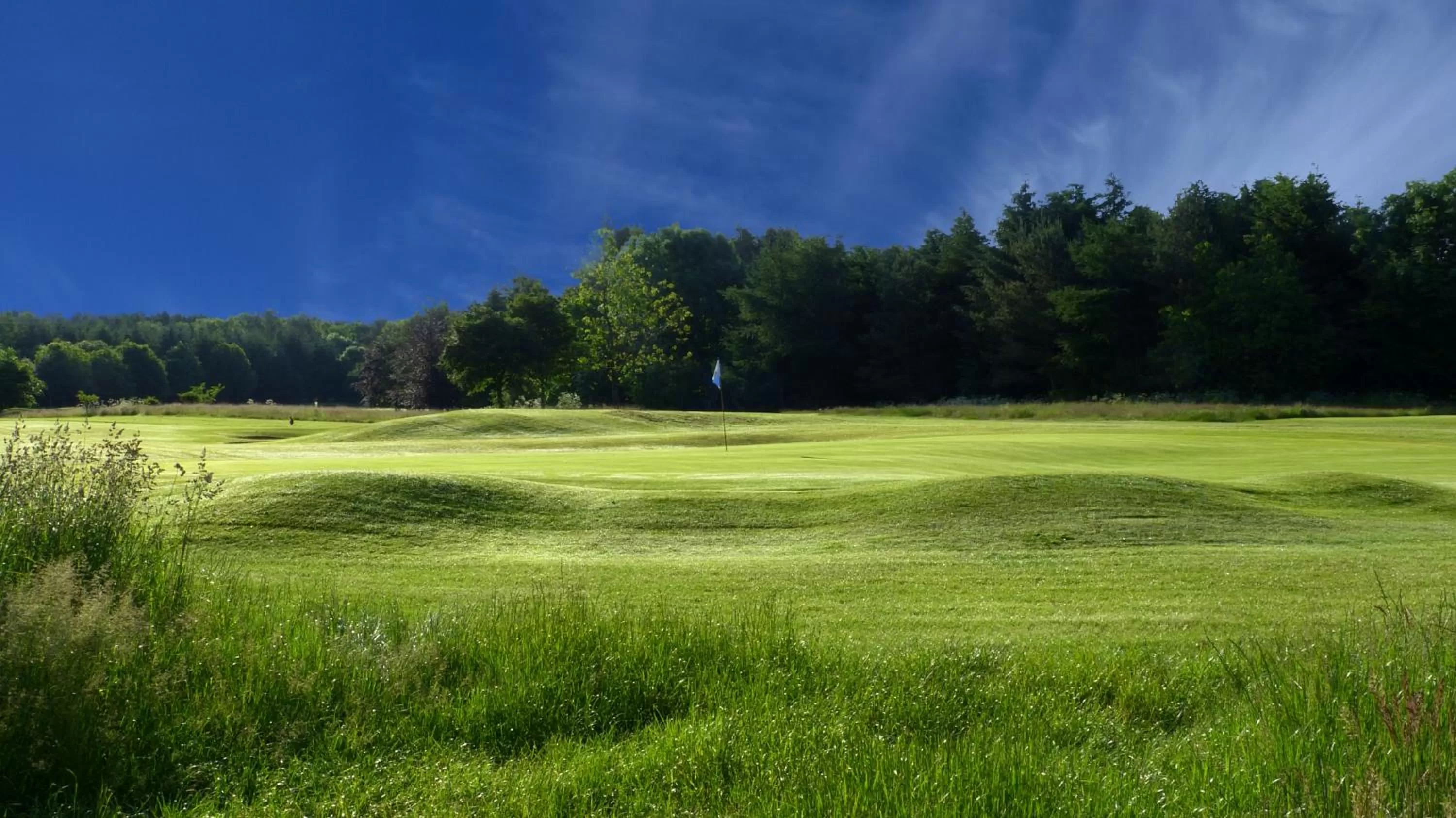 Golfcourse in Green Hotel