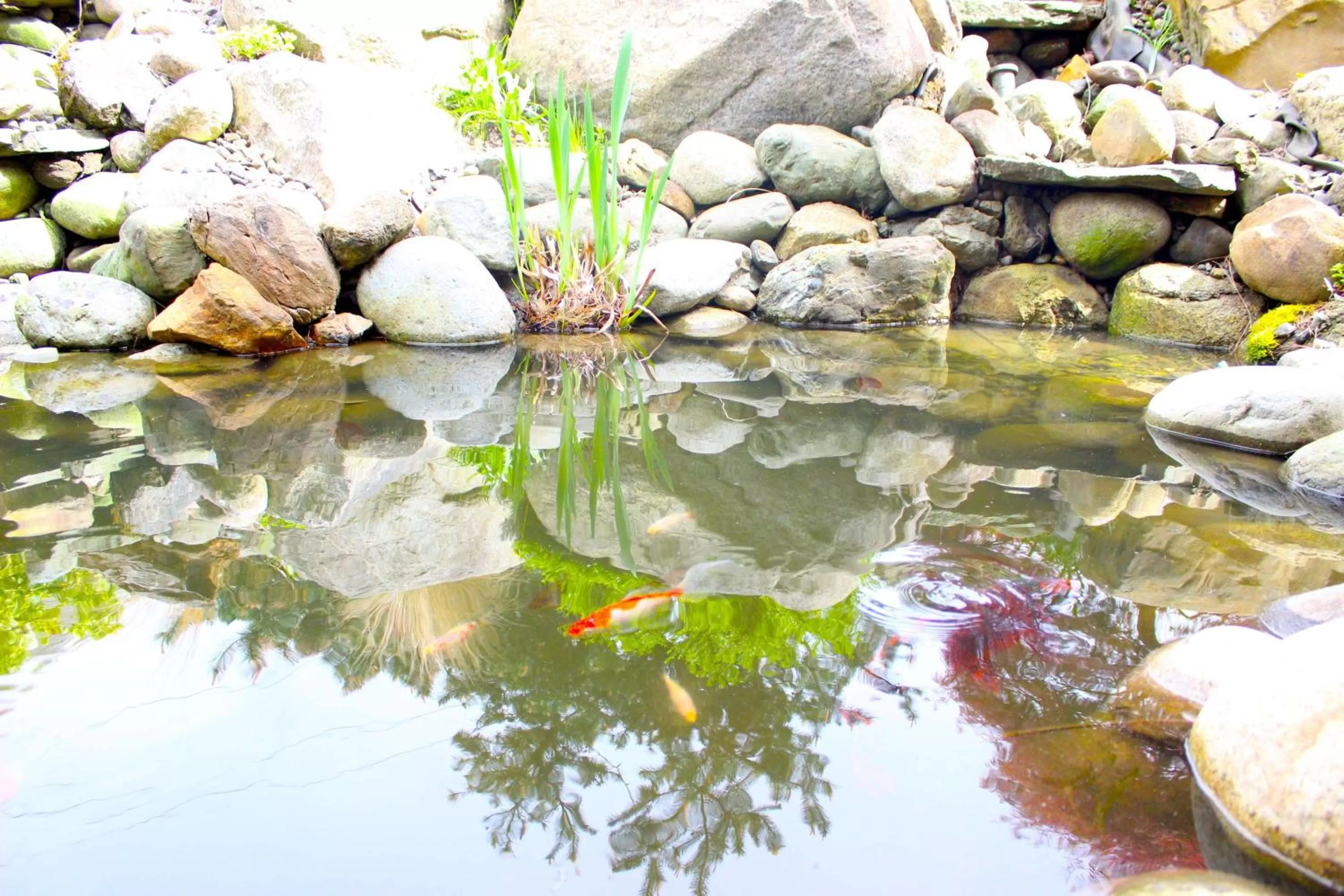 Spa and wellness centre/facilities in Chrysalis Inn & Spa Bellingham, Curio Collection by Hilton