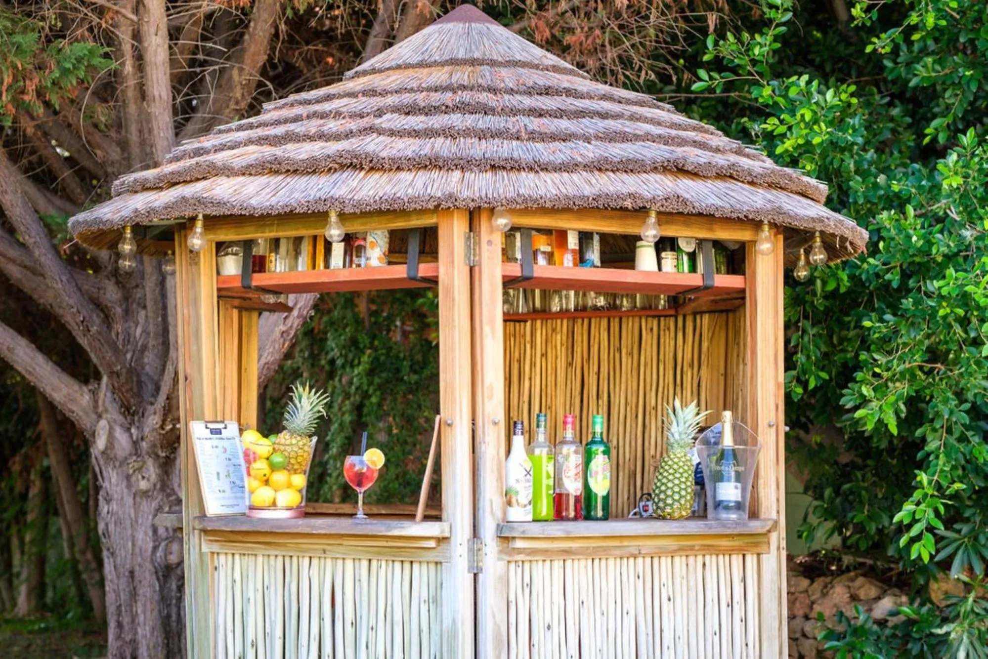 Garden in Hotel Agua Beach "Adults only"