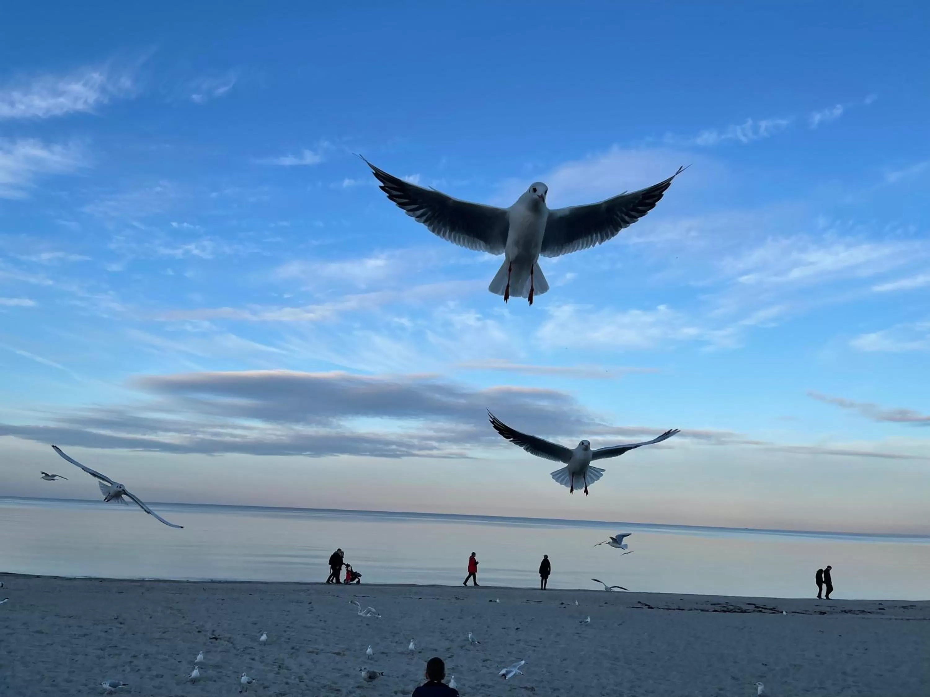 Beach in Villa Seebach