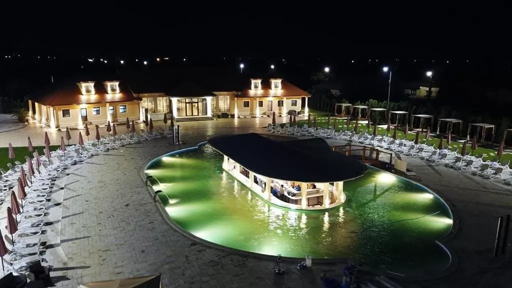 Swimming pool in Pensiunea Trei Pini