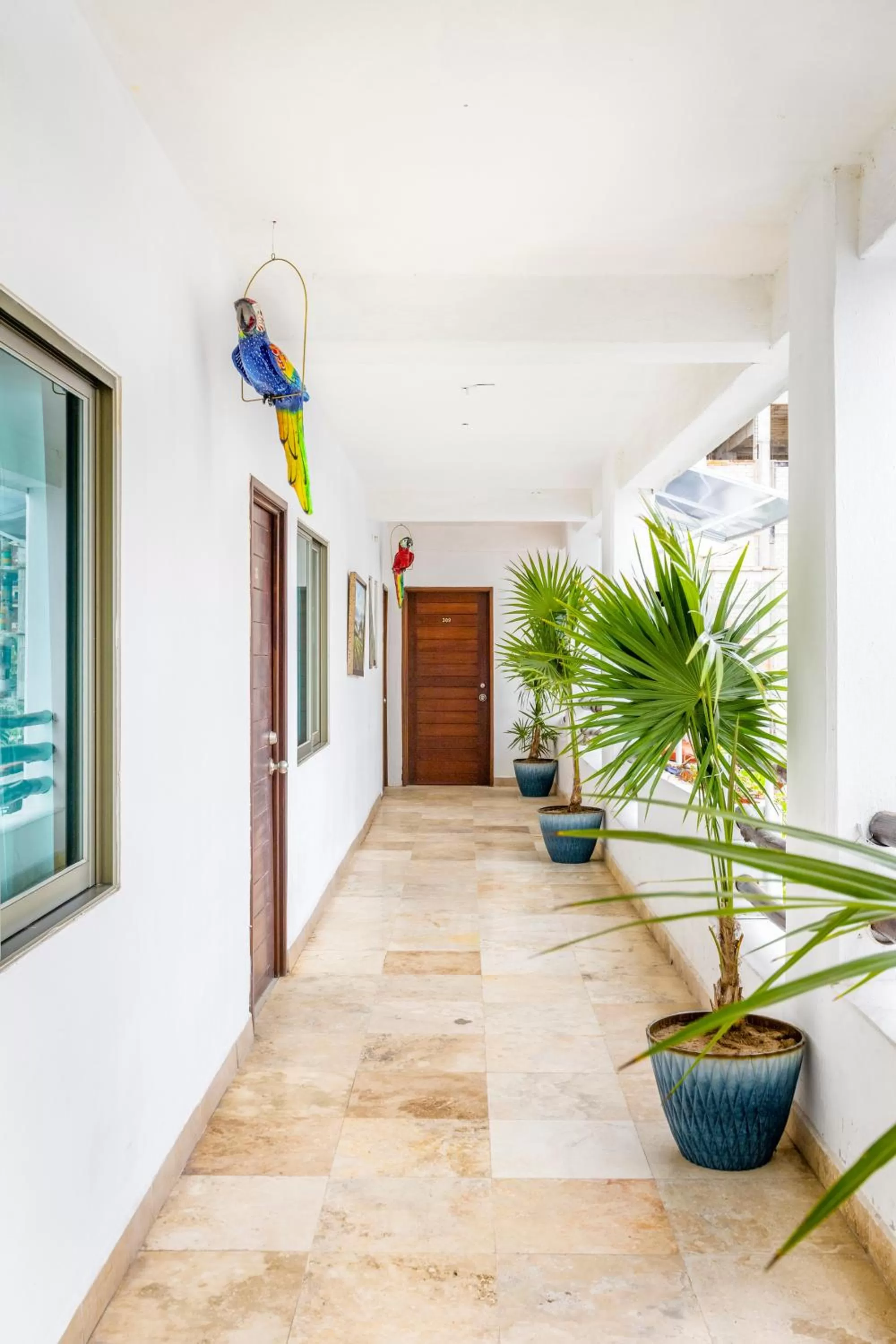 Day in Hotel Pueblito Vallarta