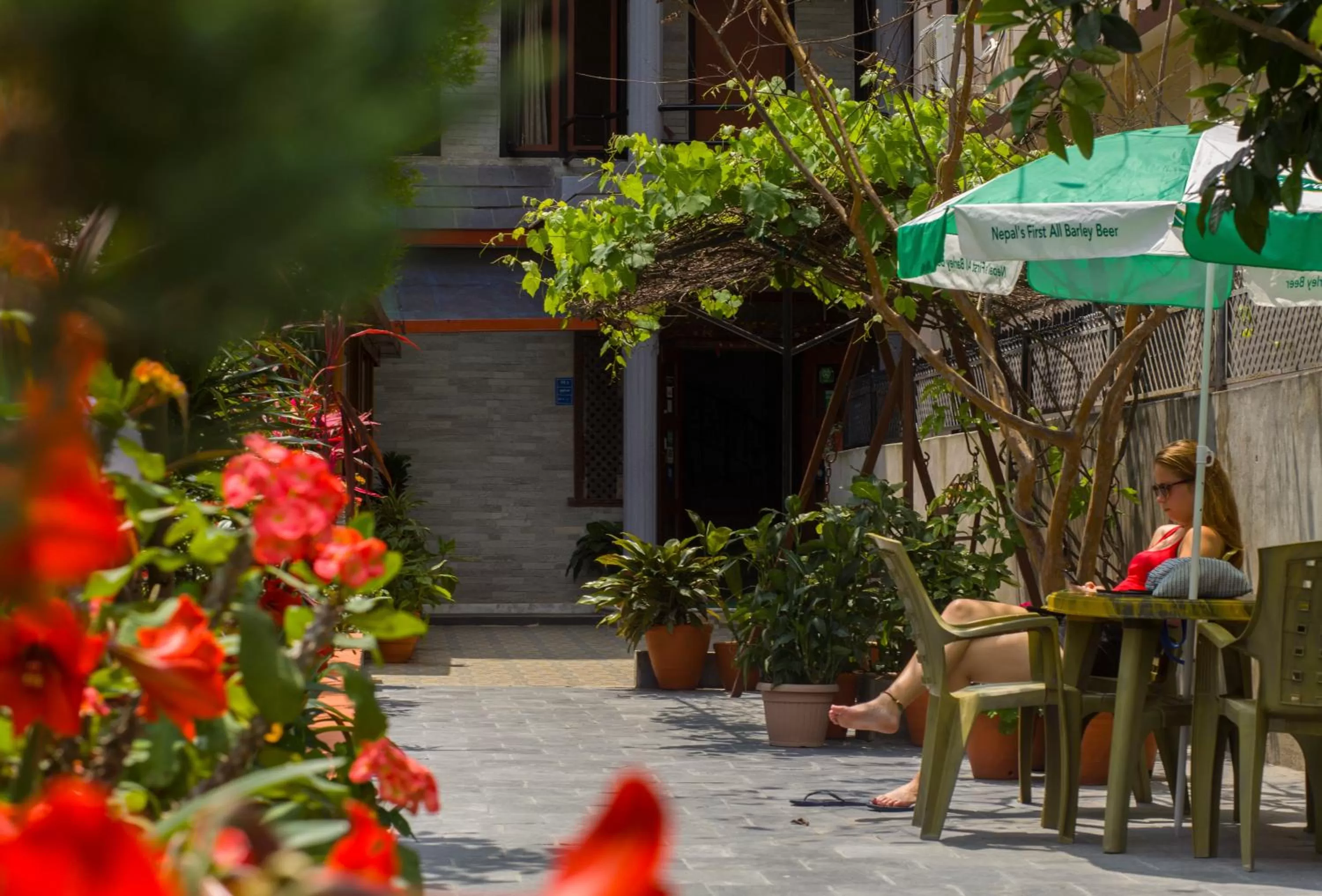 Garden in The North Face Inn