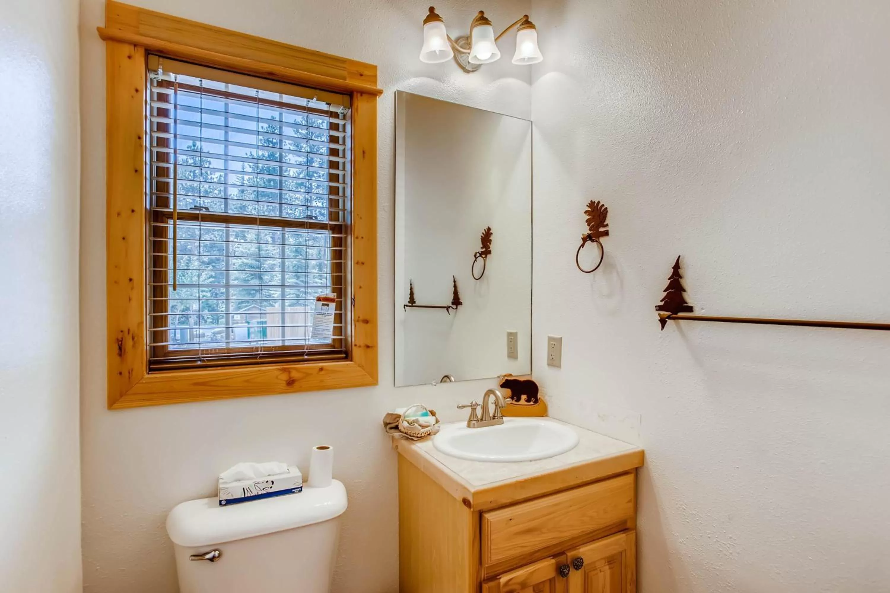 Bathroom in Estes Park Condos