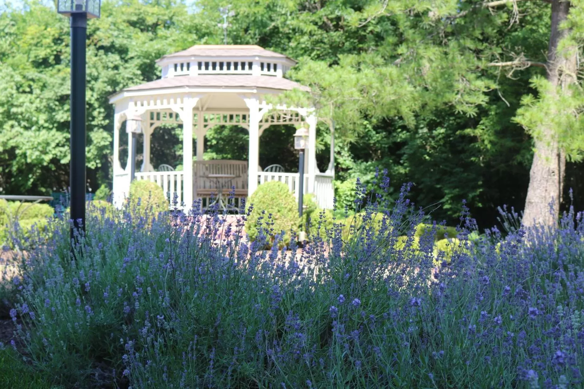 Patio in Kirkwood Inn