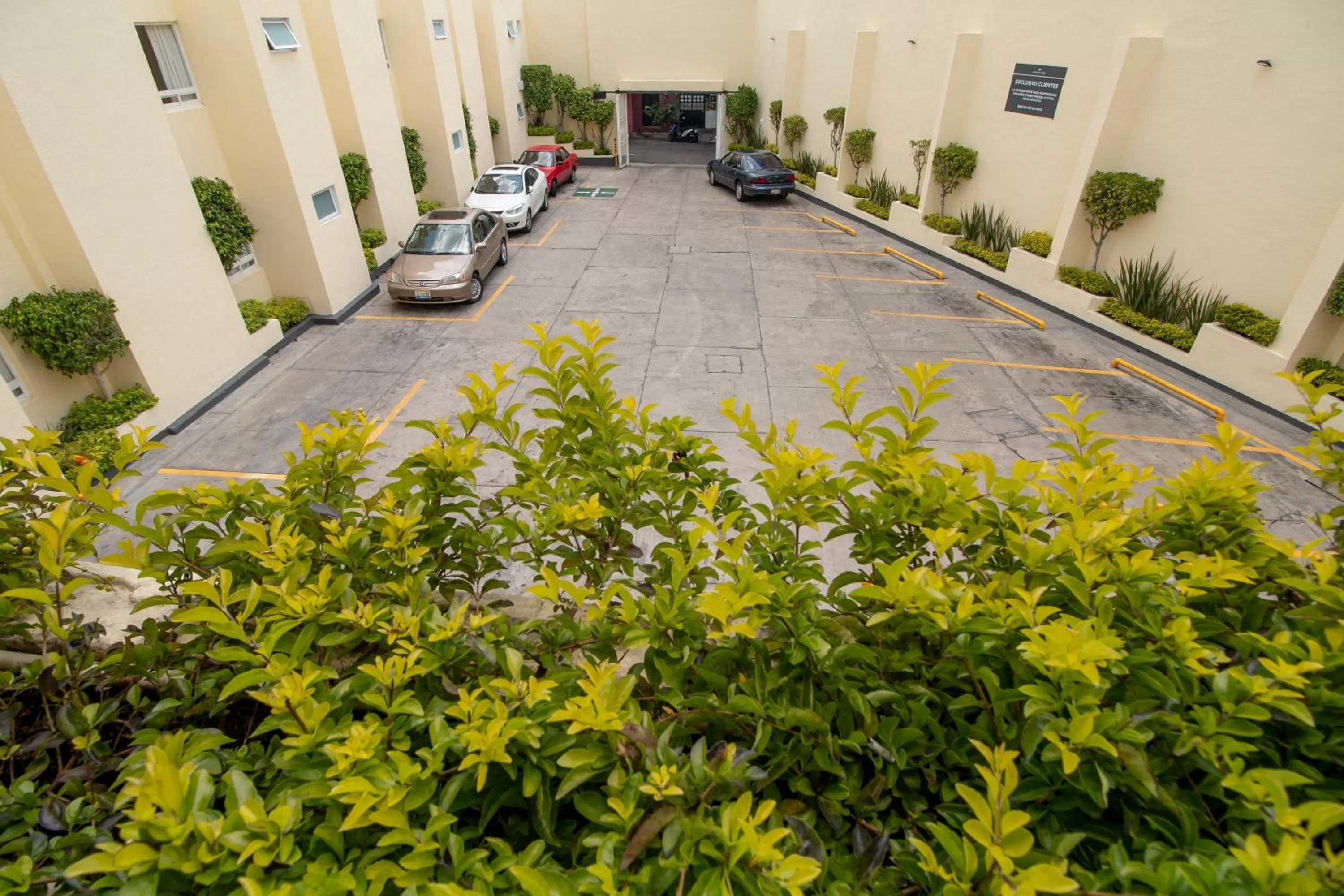 Inner courtyard view in Hotel Emperador centro Guadalajara y Remodelado