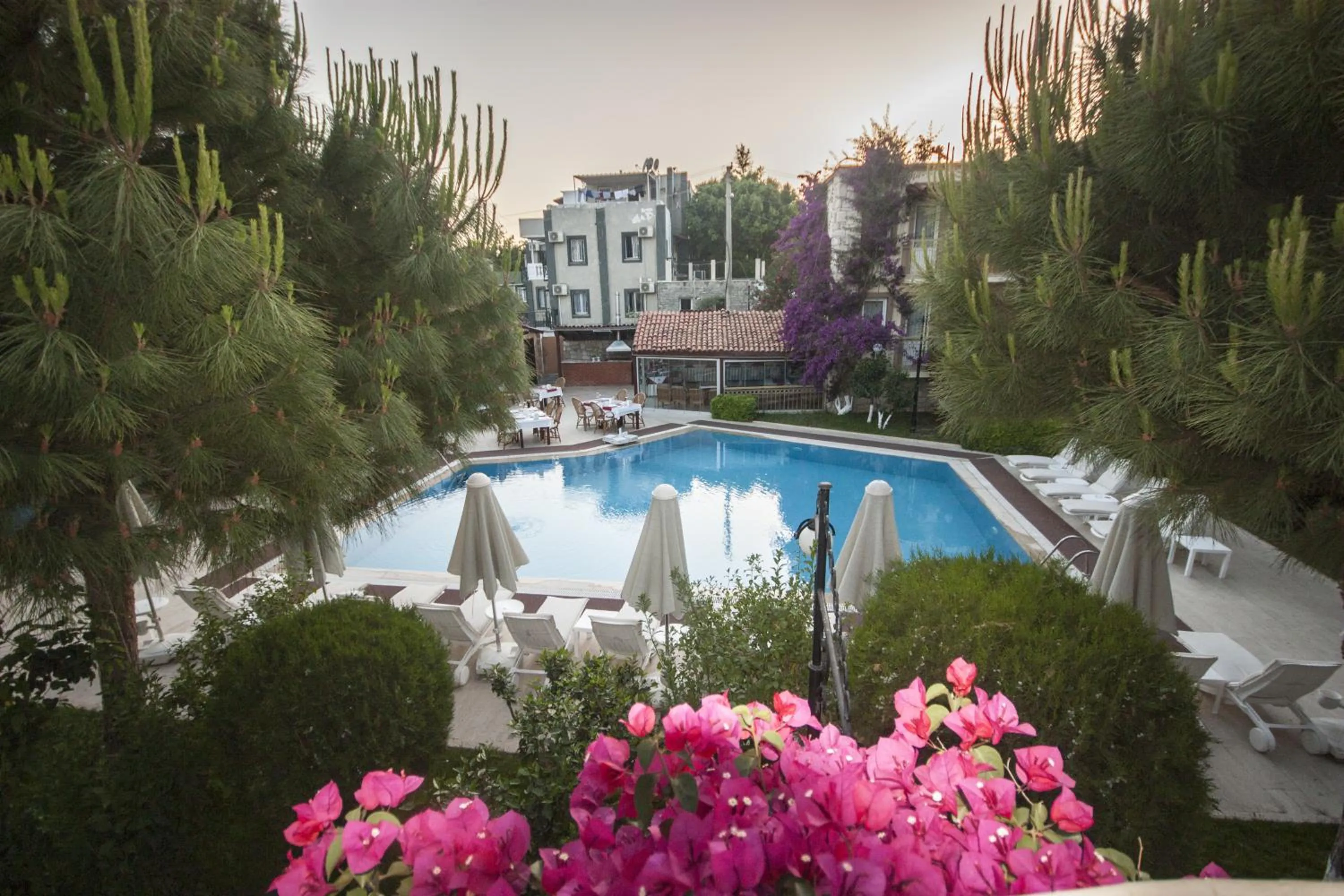 Restaurant/places to eat in Moonshine Hotel & Suites