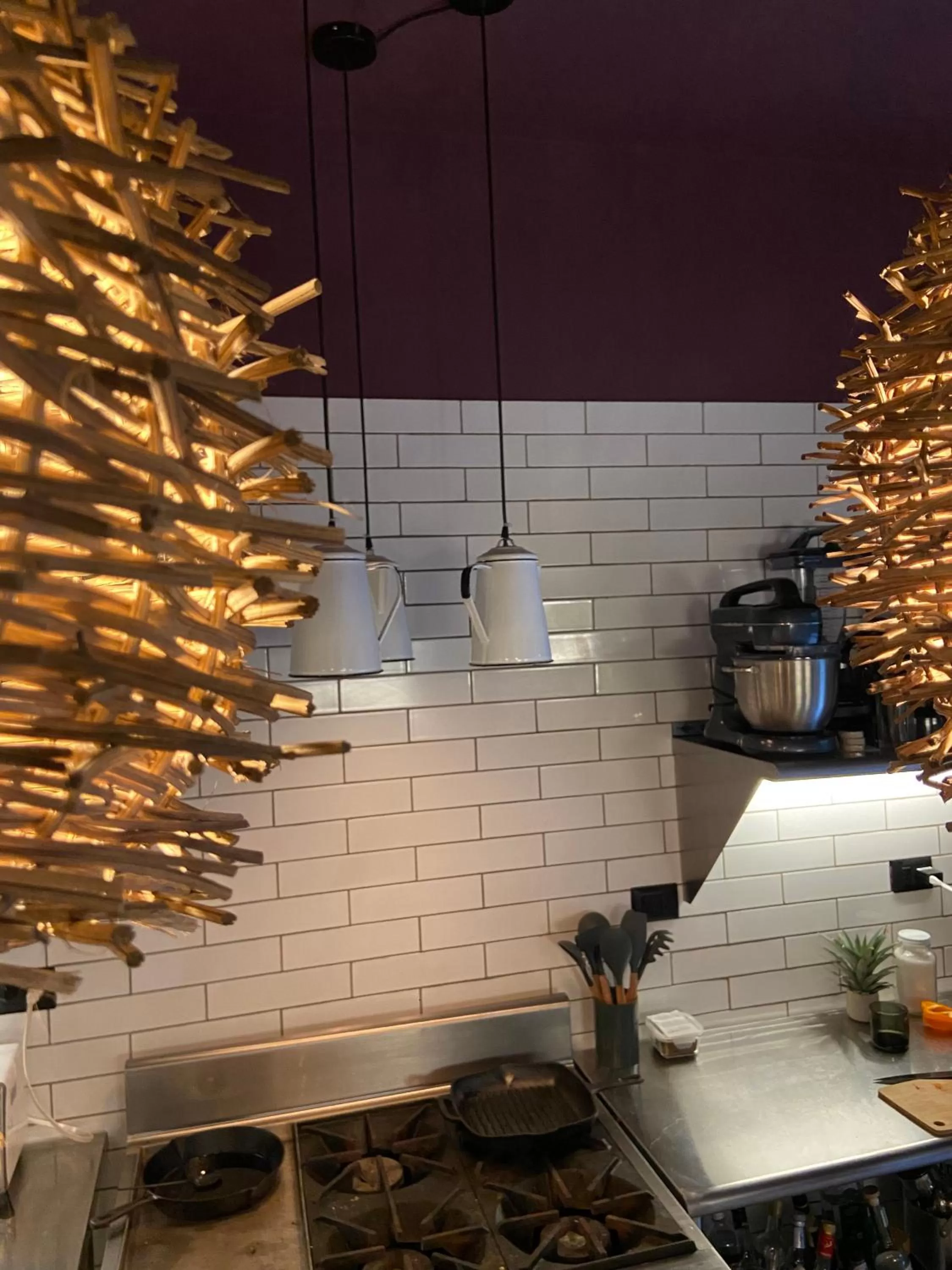 Kitchen or kitchenette in Loba Tulum Male Only