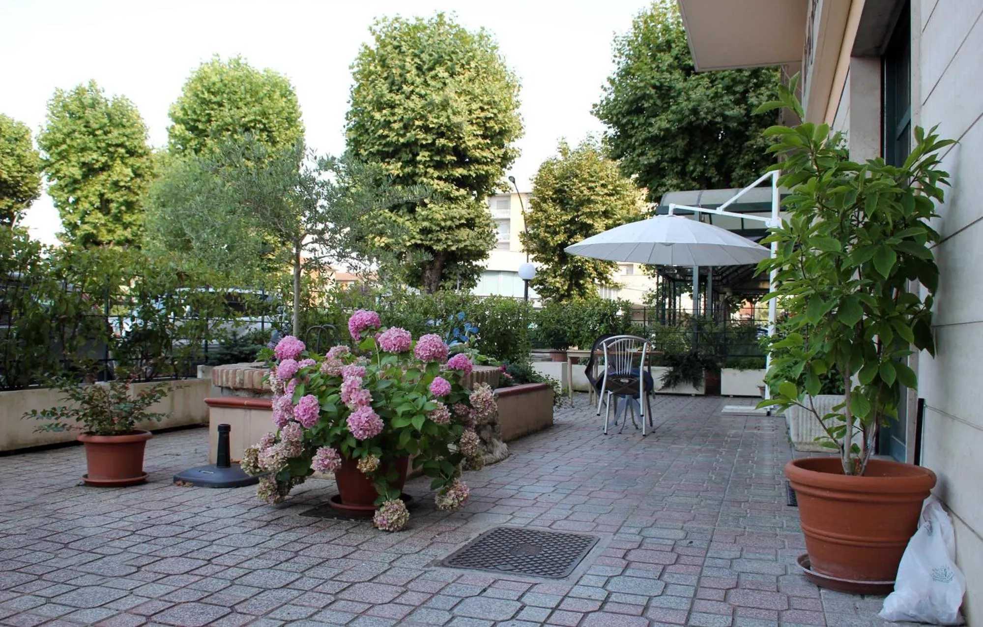 Facade/entrance in Hotel Serena