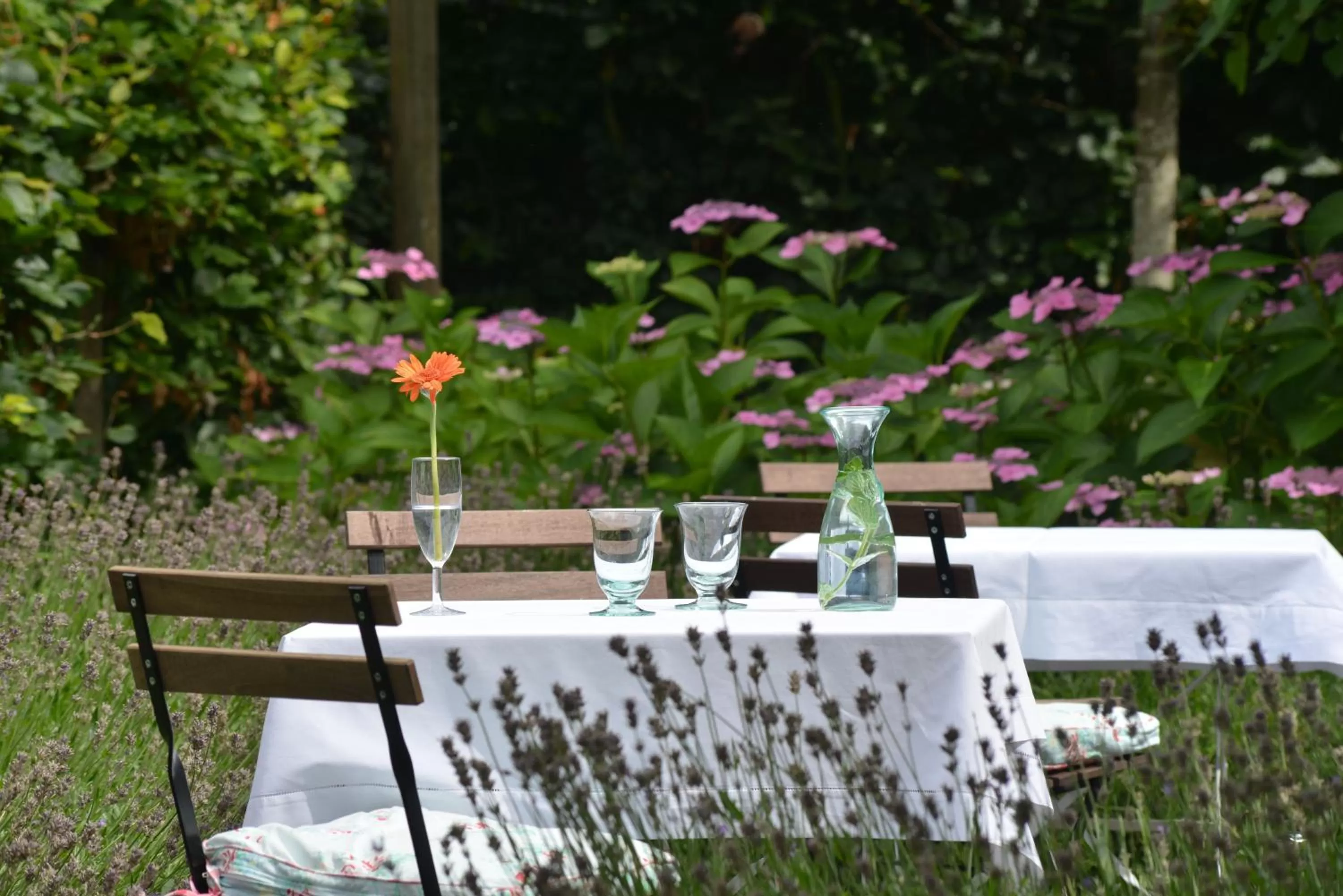 Summer in Boetiekhotel Hemelhuys