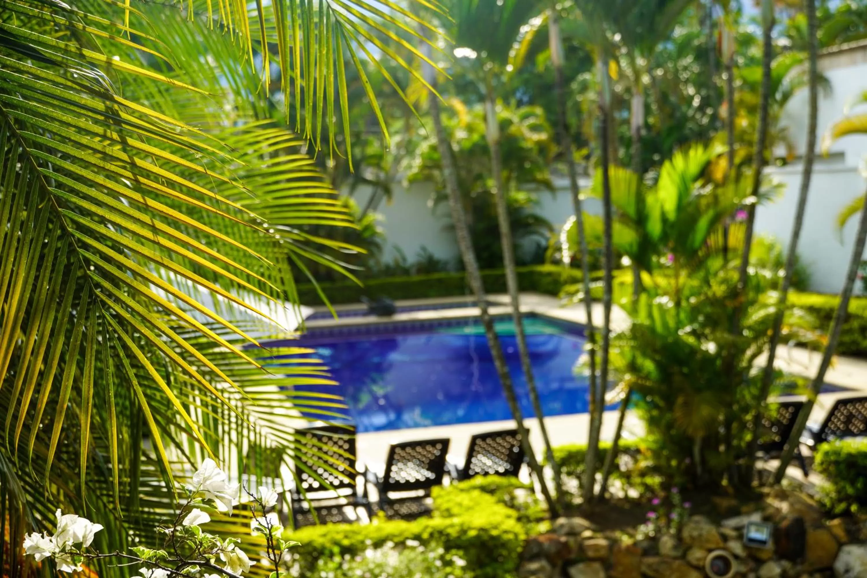 Hotel Boutique Villa Casuarinas