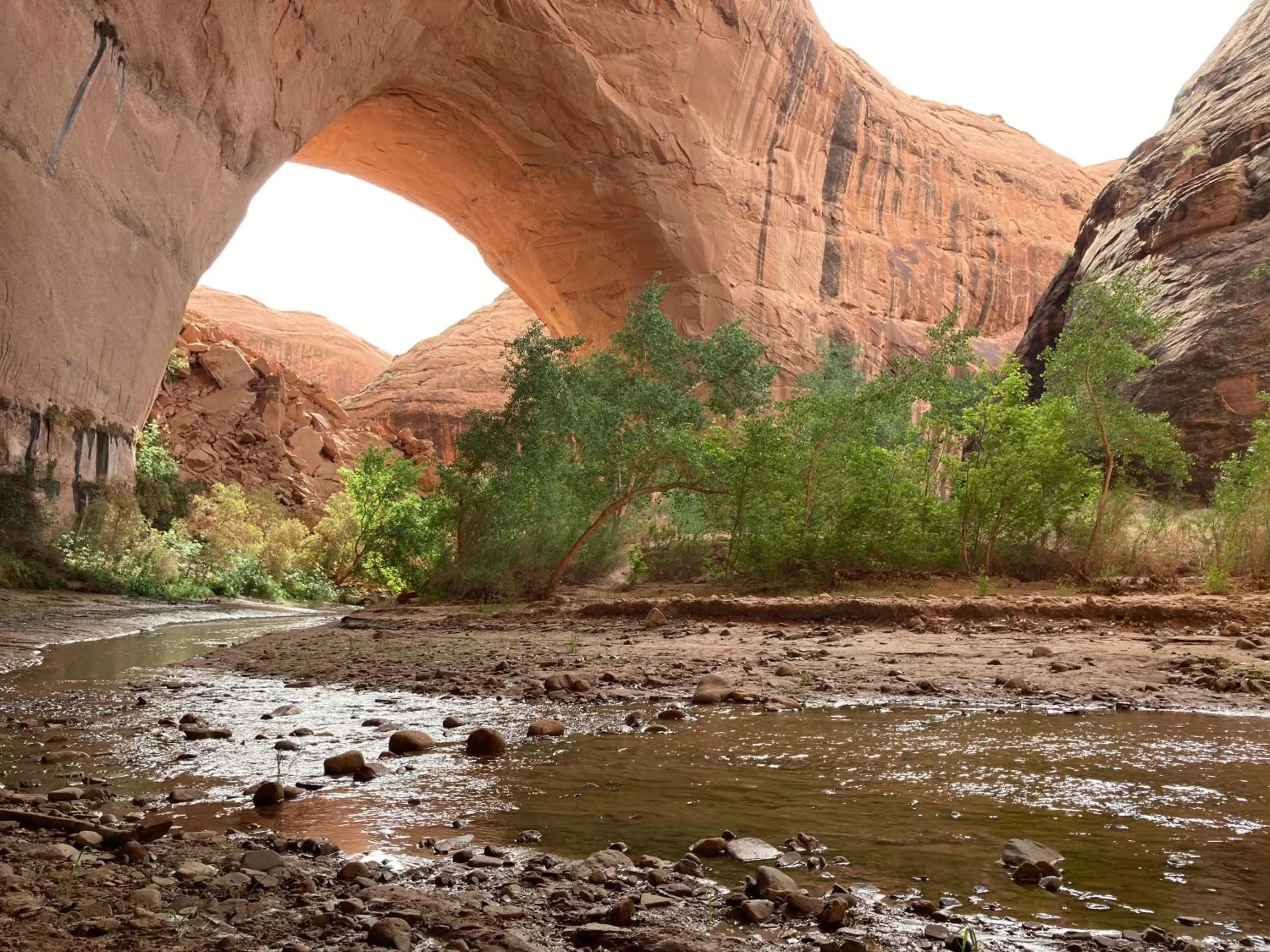 Natural landscape in The Loubird Inn