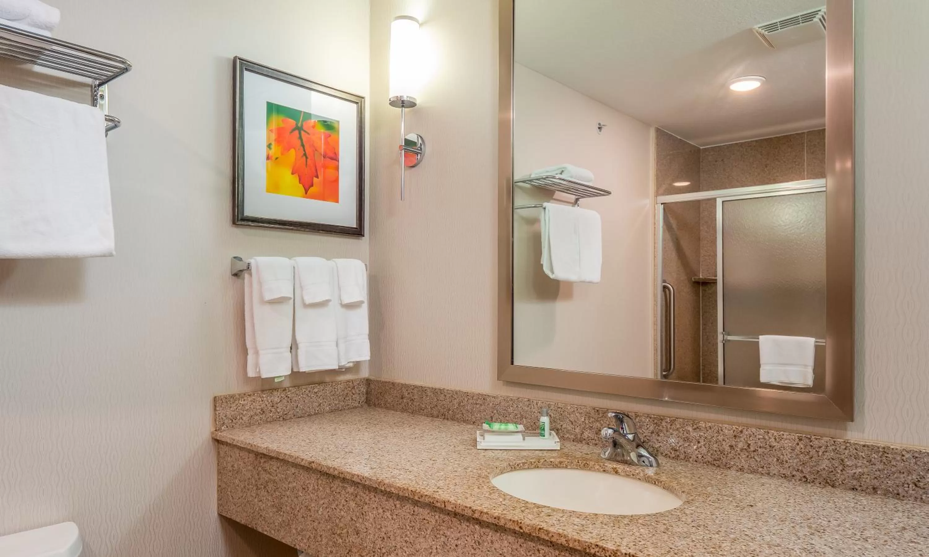 Bathroom in Holiday Inn Stevens Point - Convention Center by IHG
