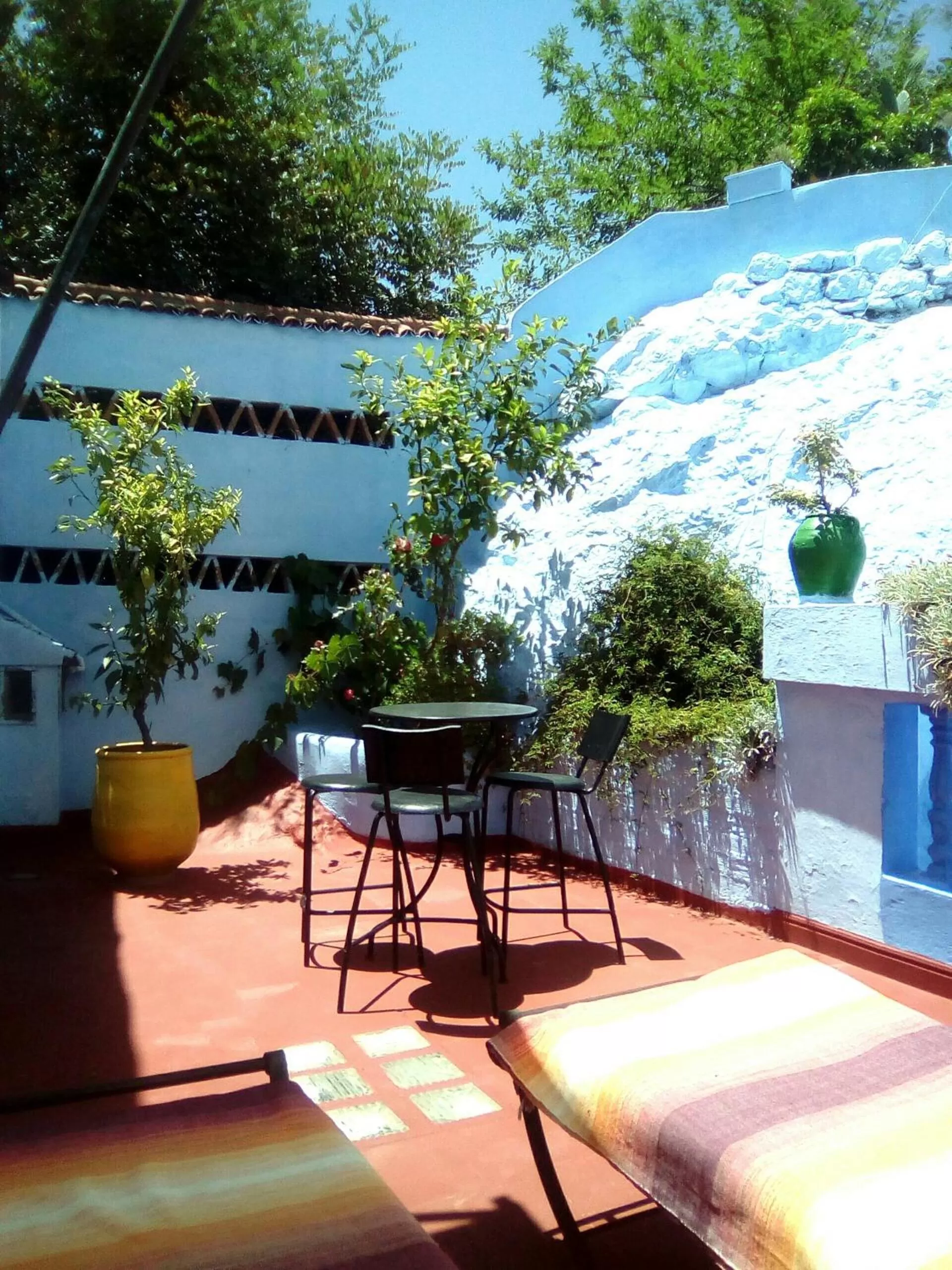 Patio in Dar Dalia