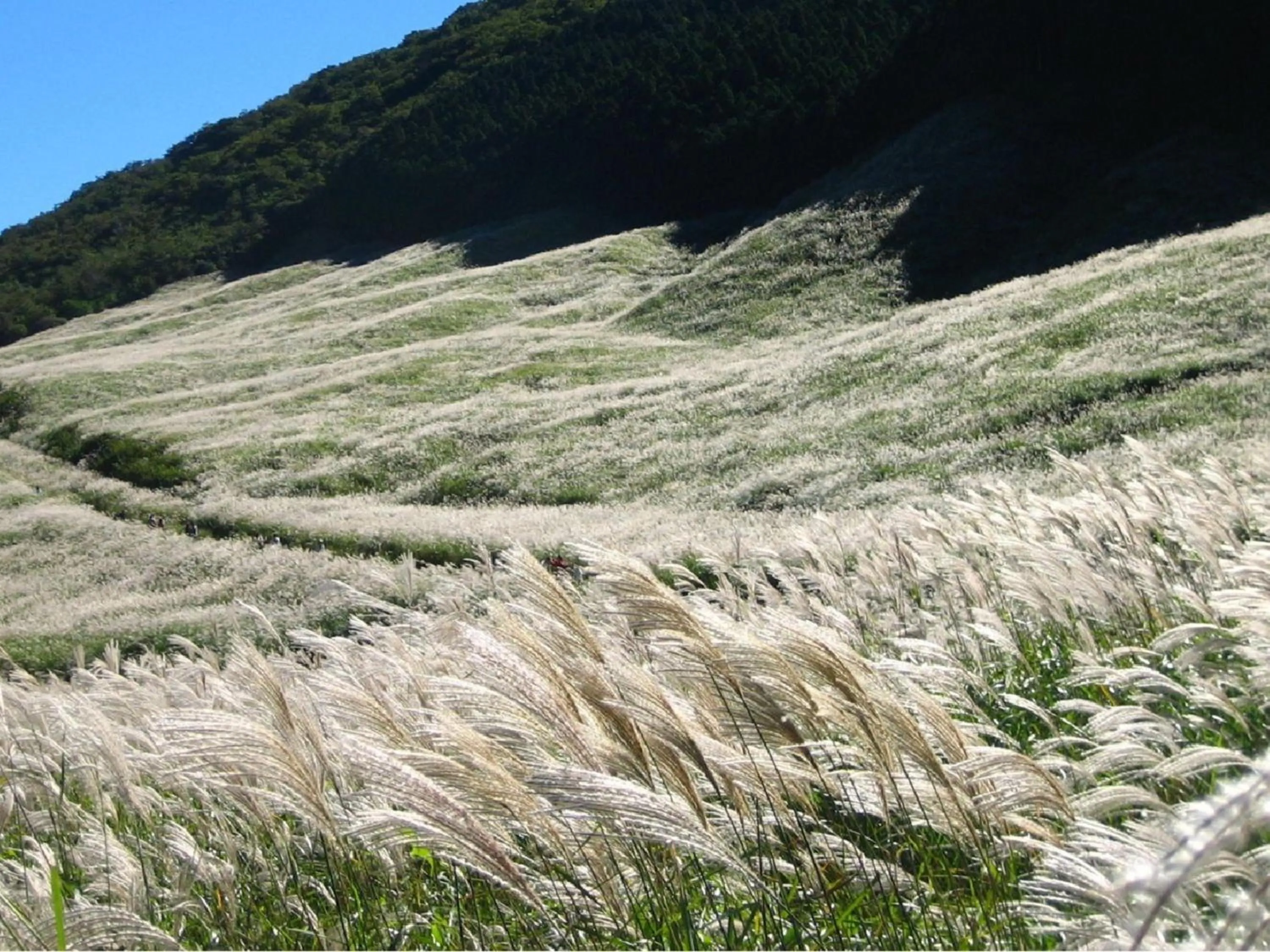 Nearby landmark in Ryuguden