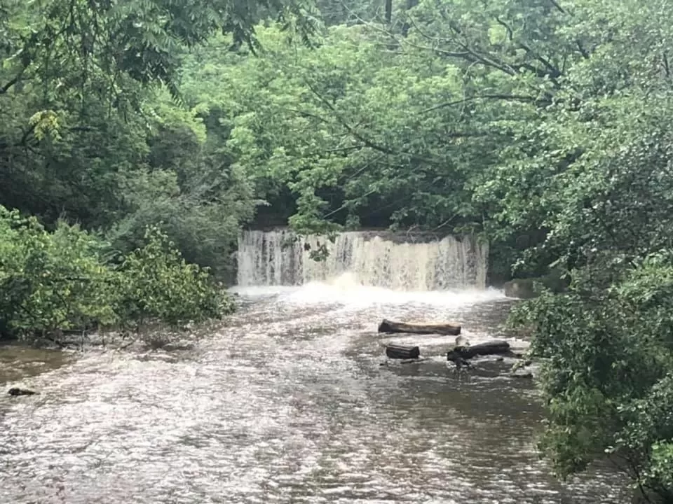 Natural landscape in Clonmel Castle