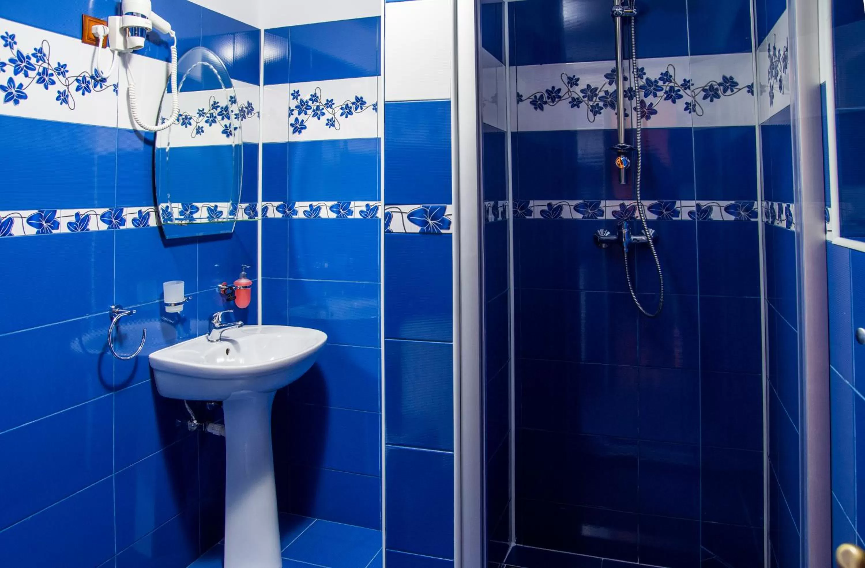 Shower, Bathroom in Pensiunea SilvAnka