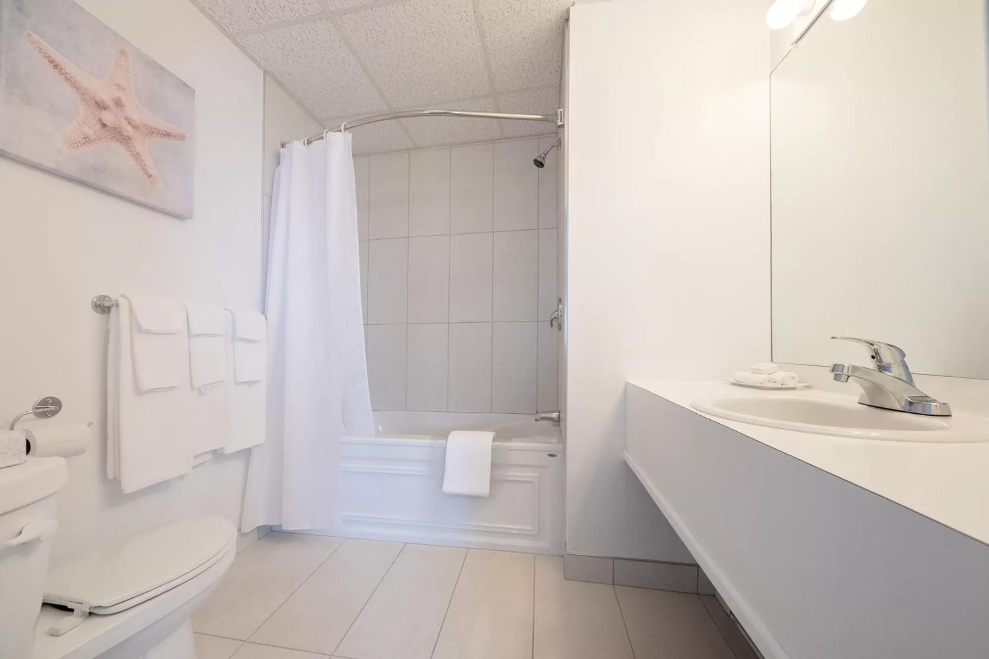 Bathroom in Hotel Plante