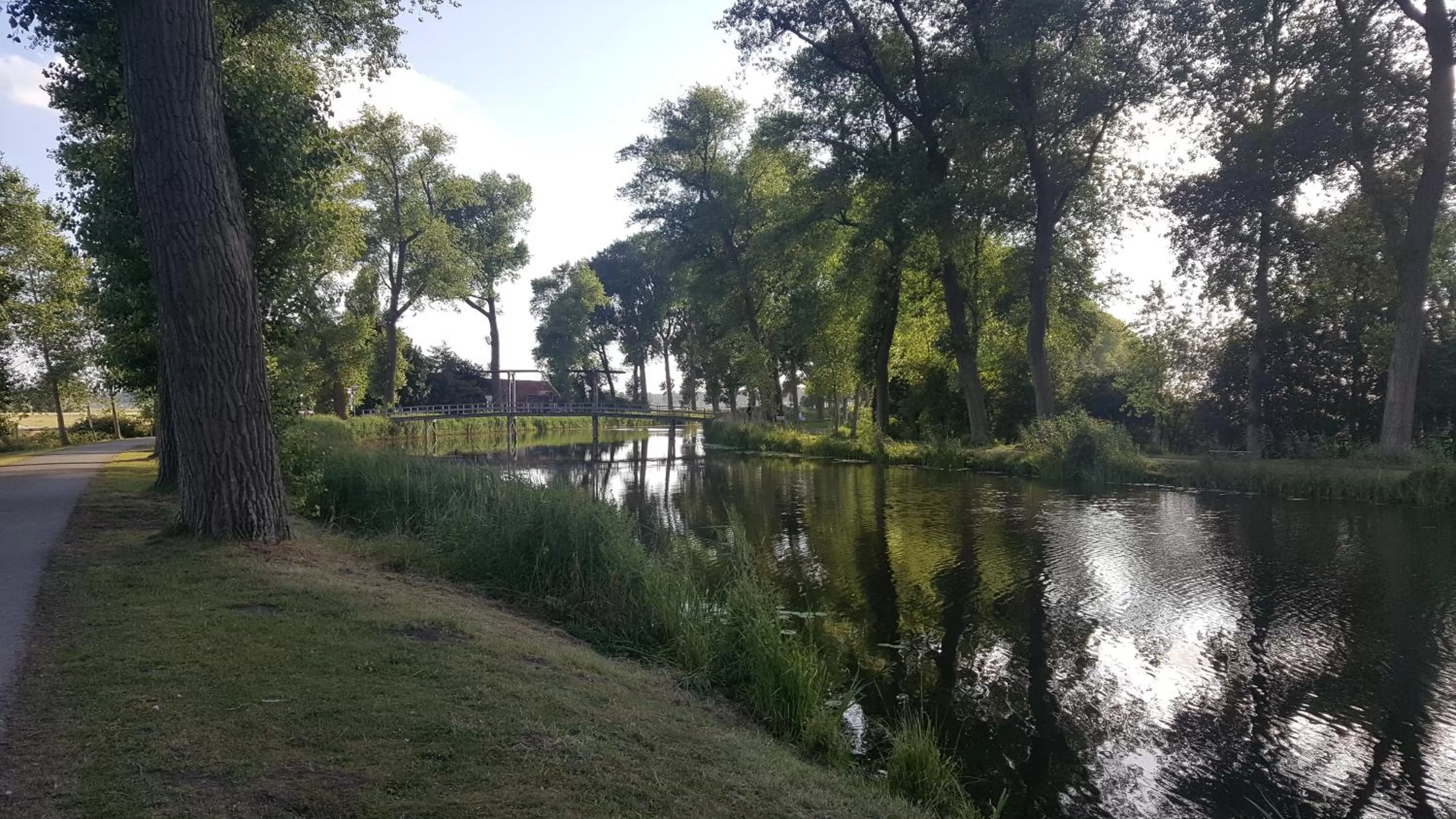 Natural landscape in Hotel Le Provencal