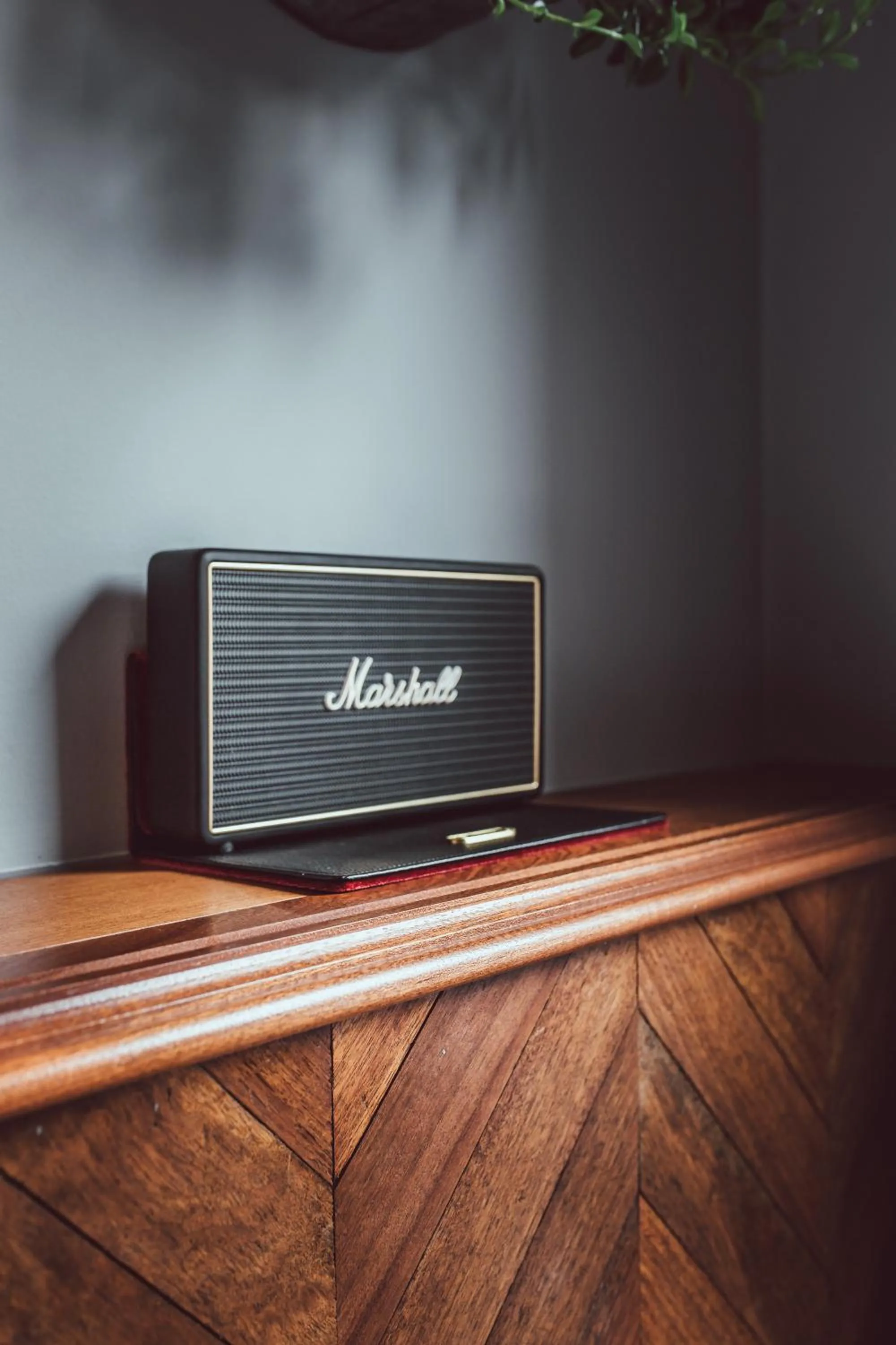 TV and multimedia in The Pilgrm