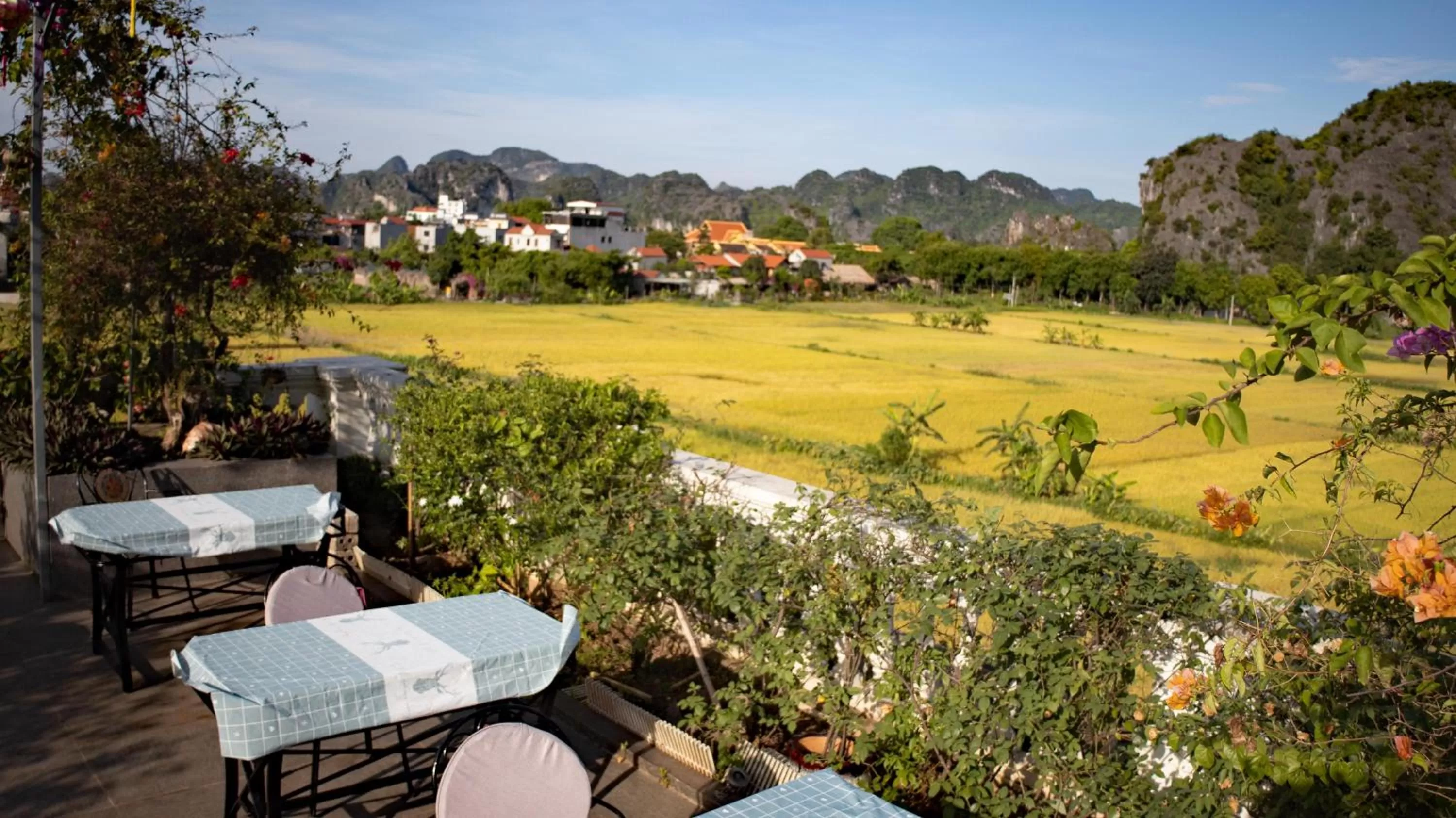 Lounge or bar in Liberty Hall Tam Coc Hotel & Villa