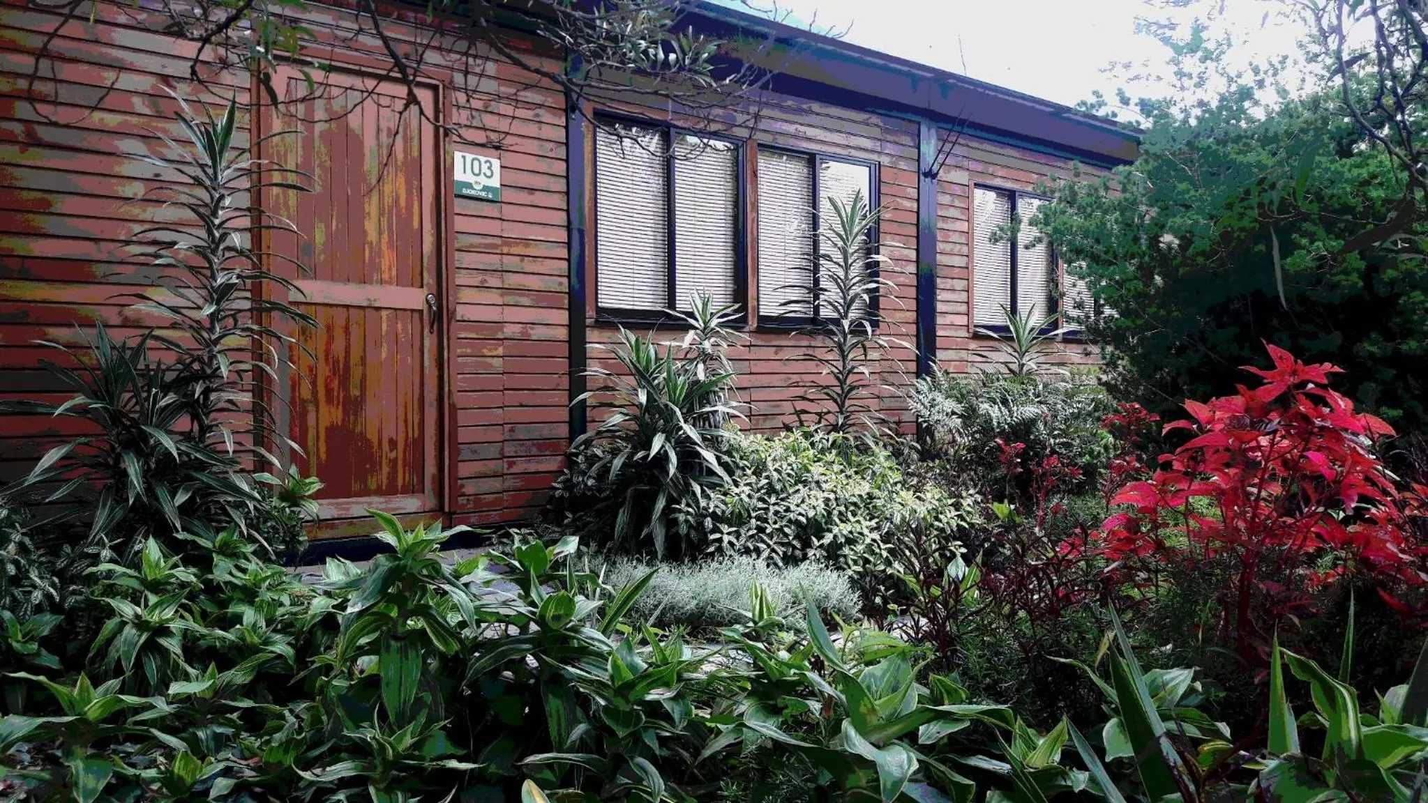 Garden, Property Building in ALTO LODGING Centro de Entrenamiento Deportivo y Negocios, a 2 pasos del Aeropuerto JMC, Transporte Incluido