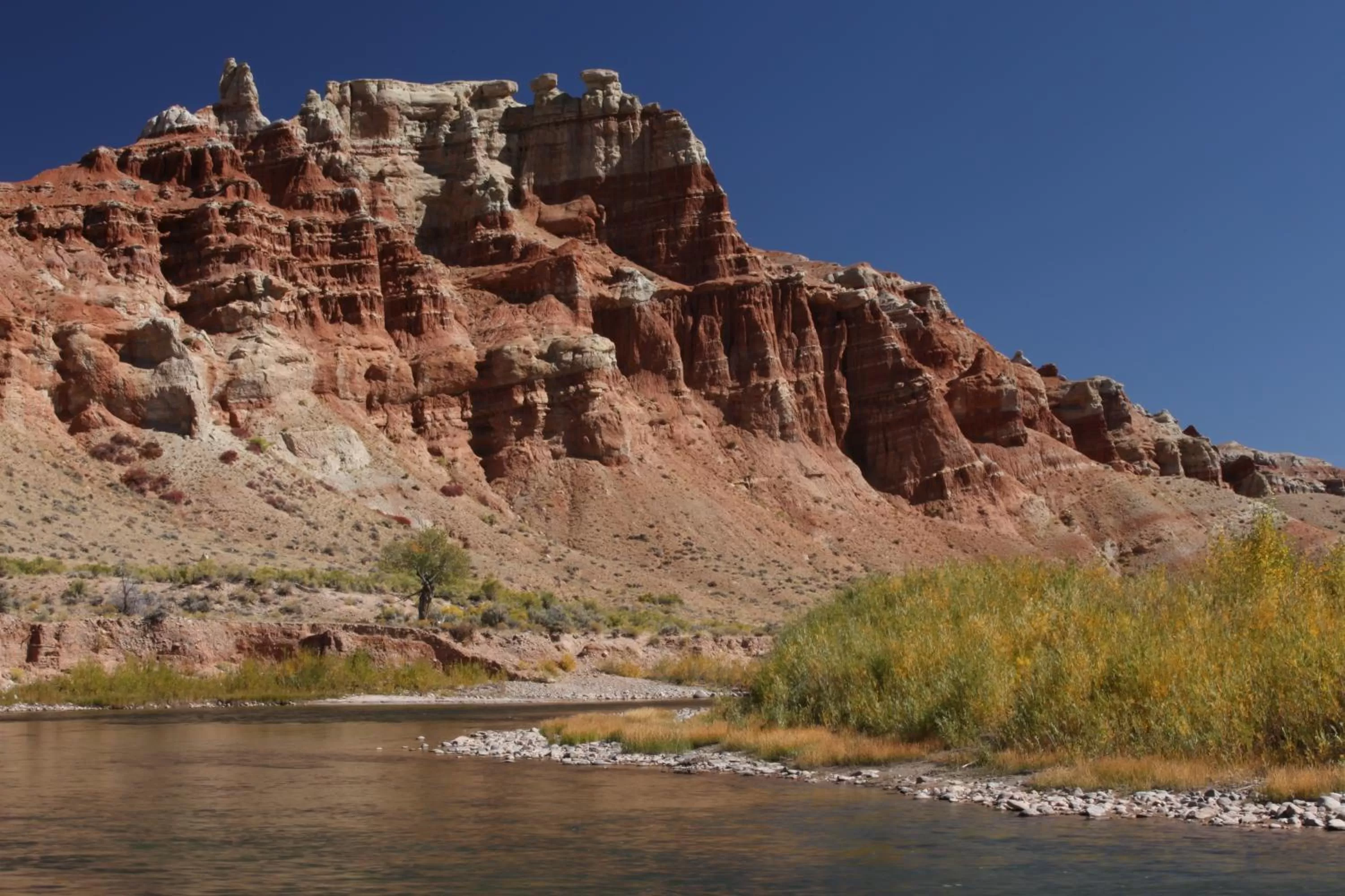 Fishing in The Longhorn Ranch Resort Lodge & RV Park