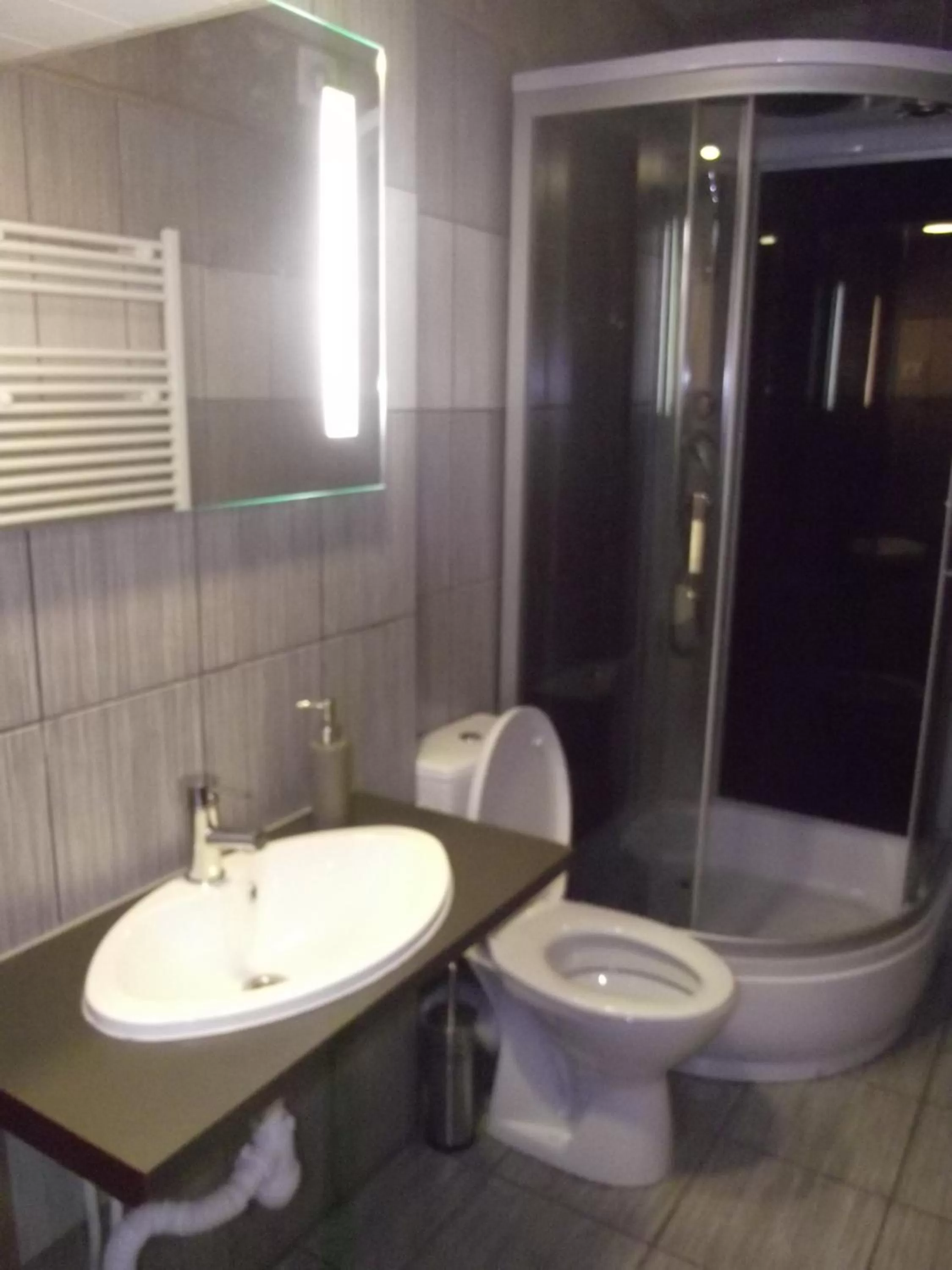 Bathroom in Nakvynė Rokiškyje