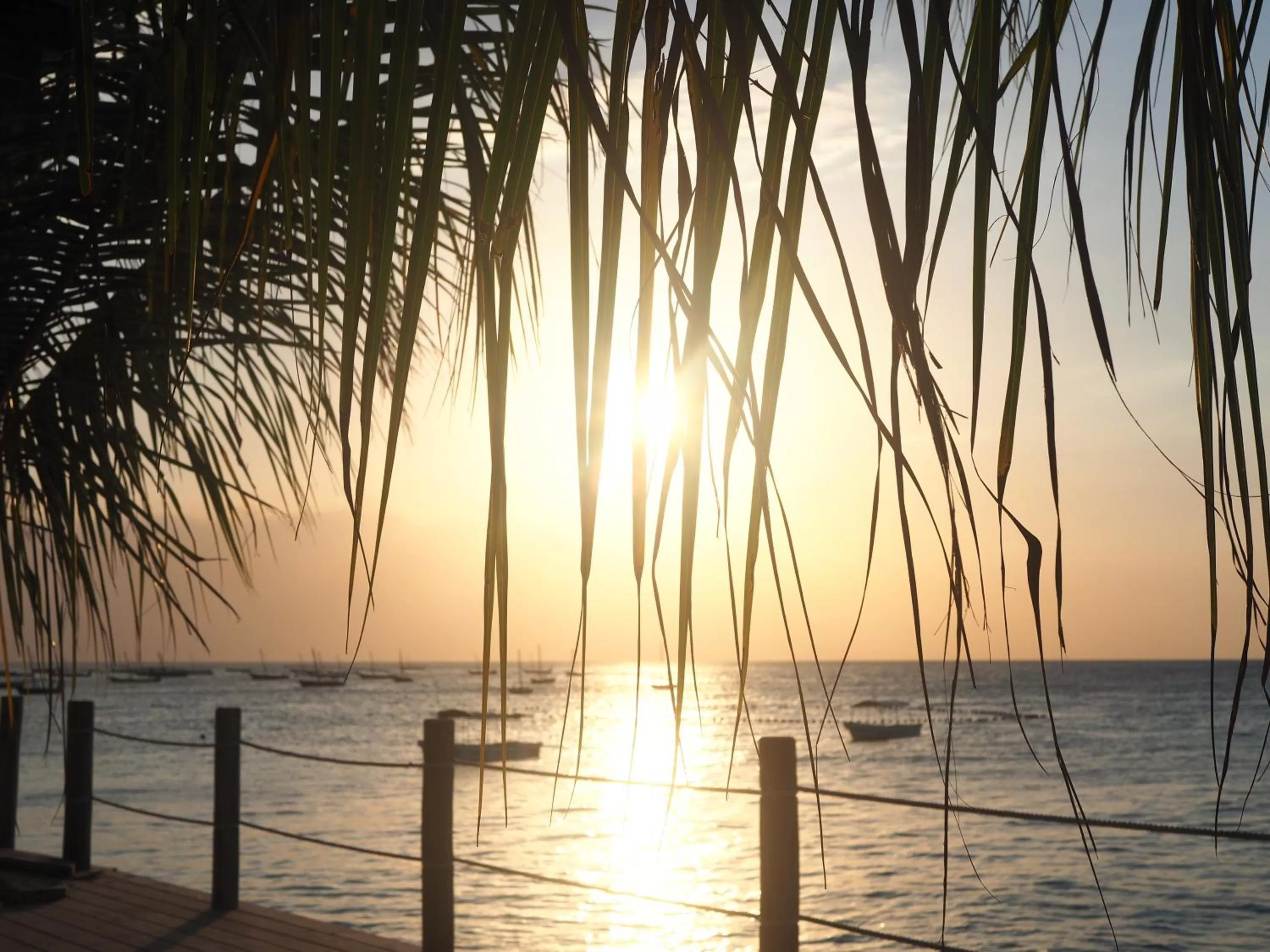 Beach, Sunrise/Sunset in Aluna Nungwi