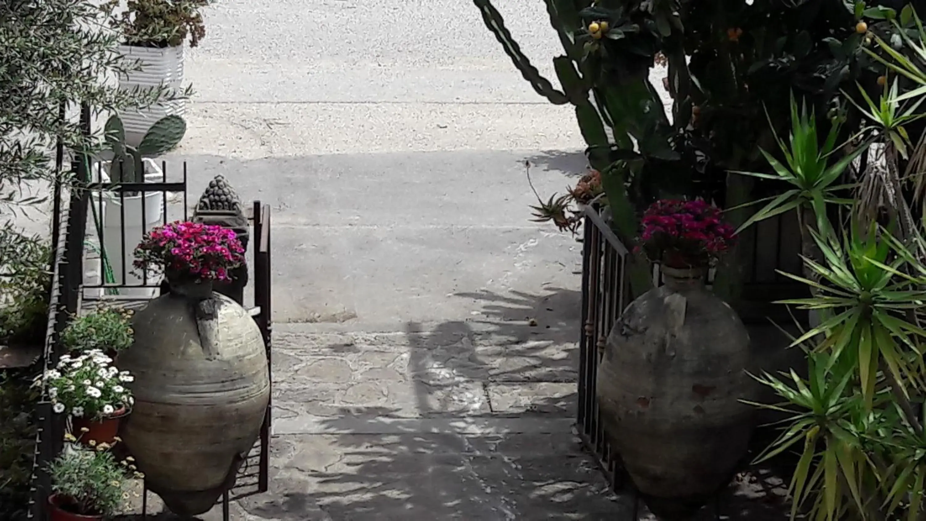 Santa Lucia Santa Lucia