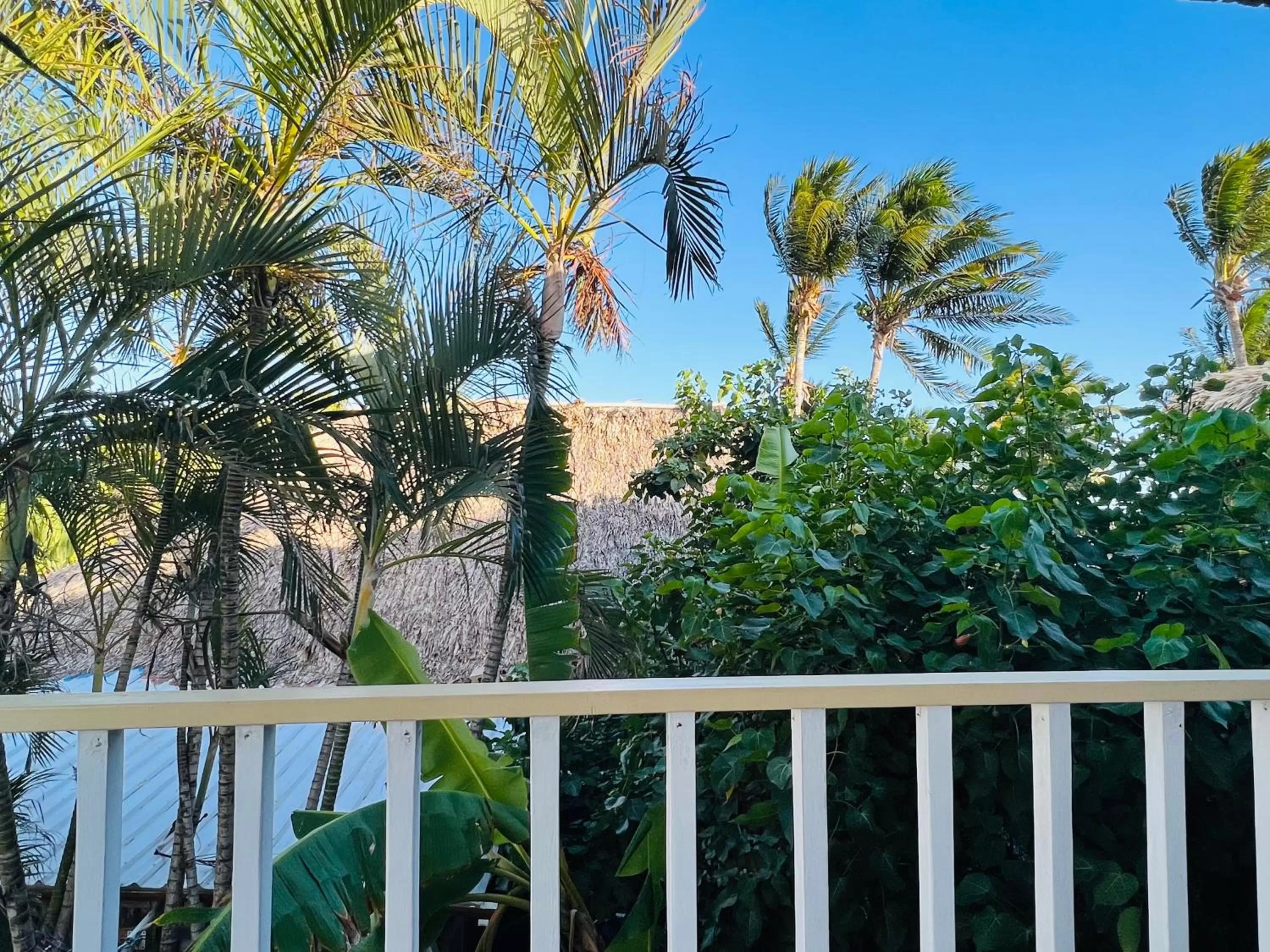 View (from property/room) in Hotel Del Rio