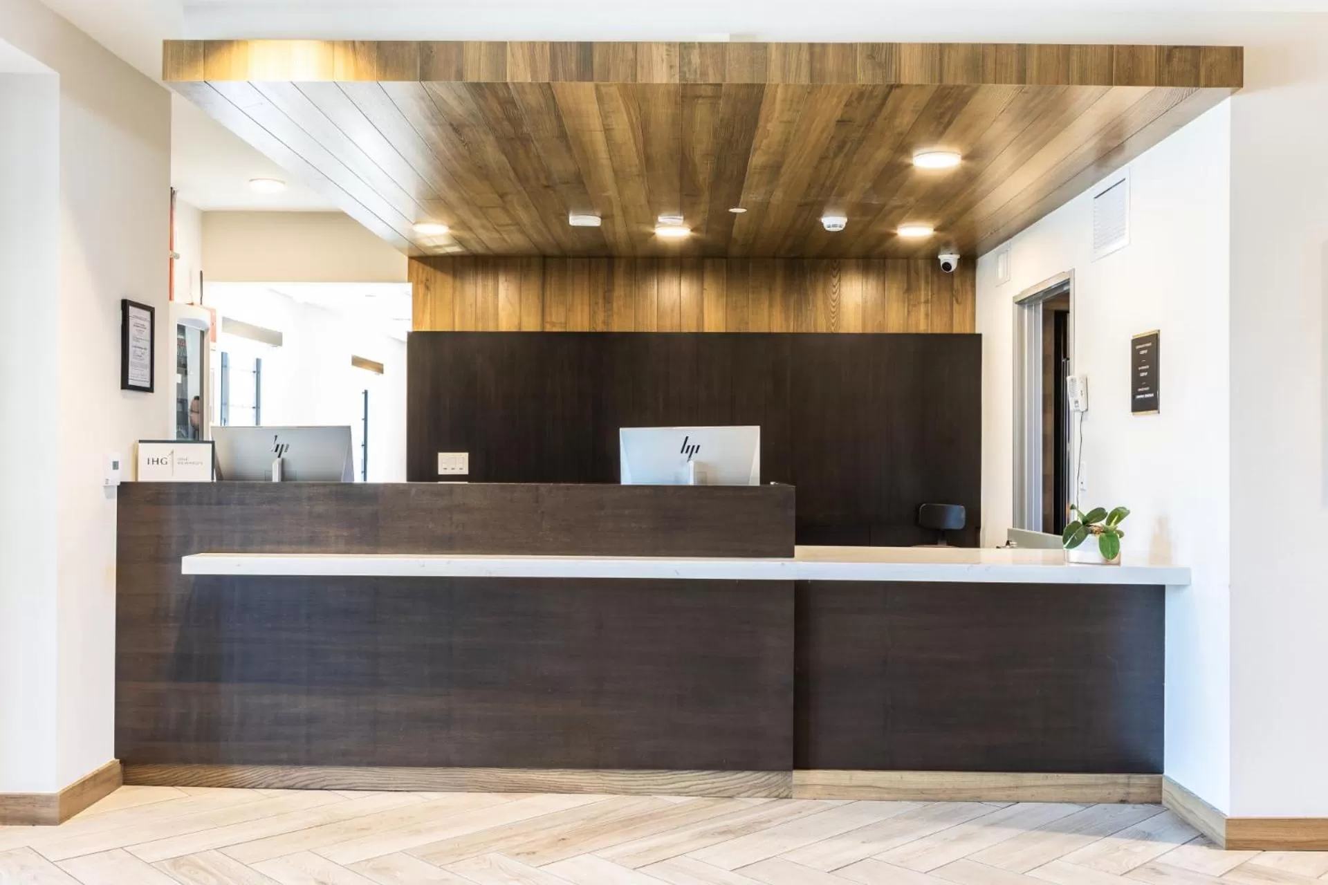 Lobby or reception in Staybridge Suites - Colorado Springs NE Powers by IHG