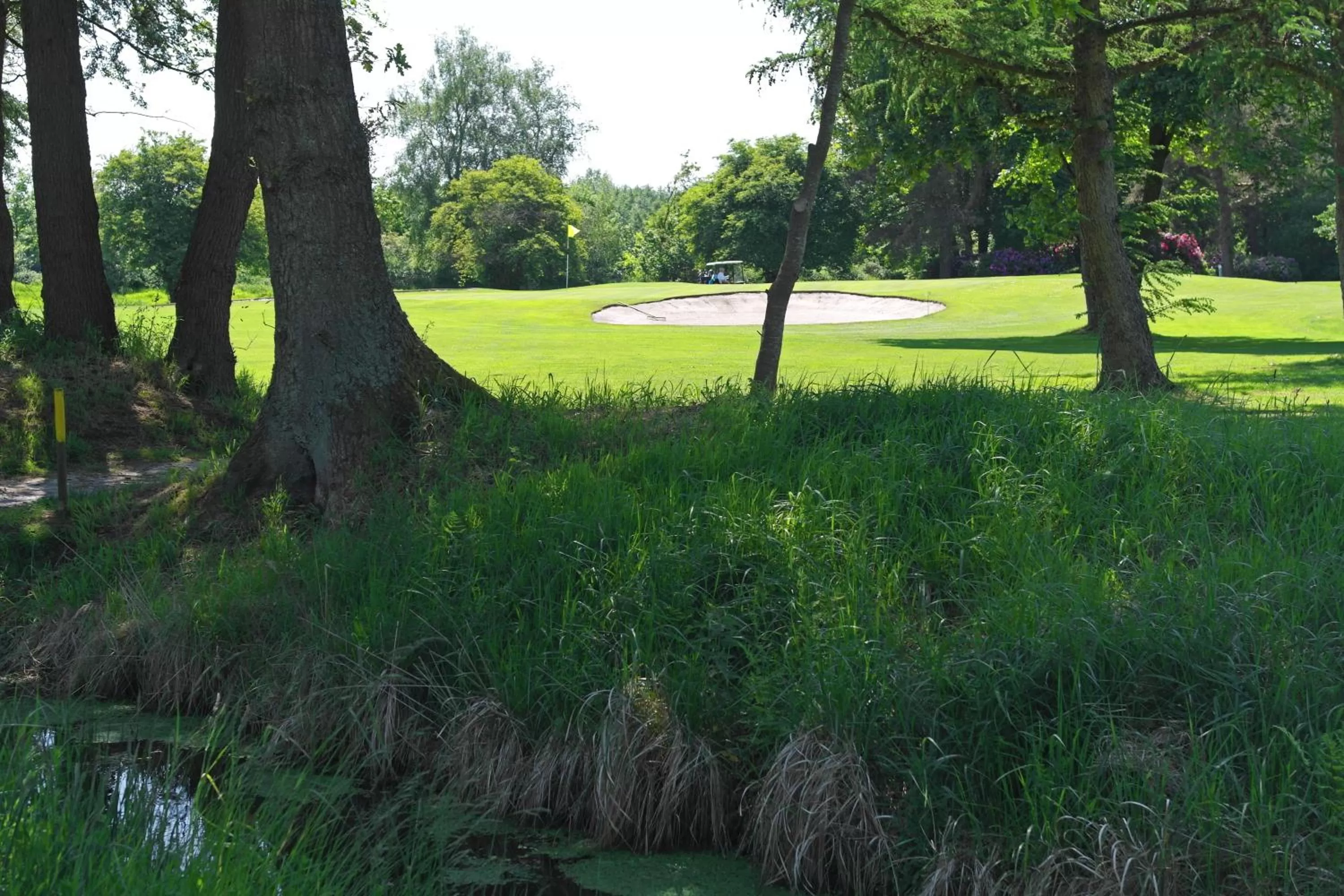 Day in Hotel Blauer Fasan