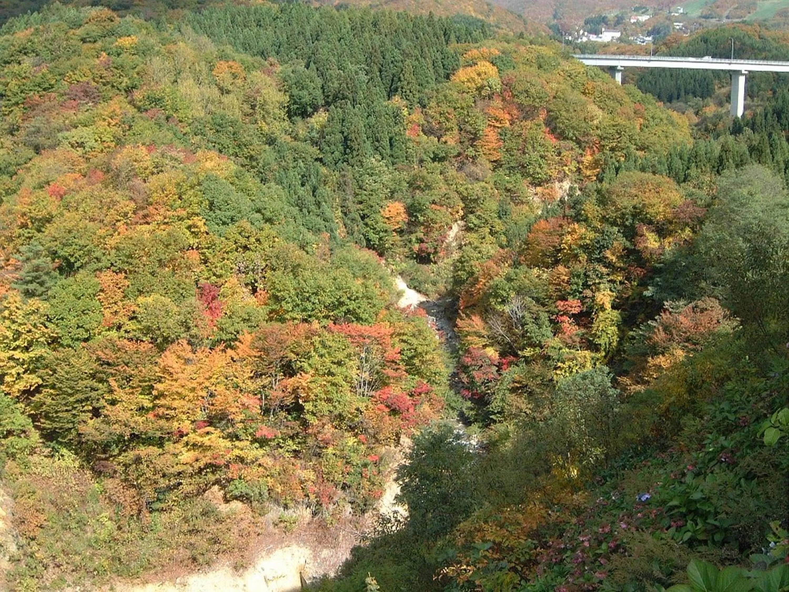 Autumn in Zao Kokusai Hotel