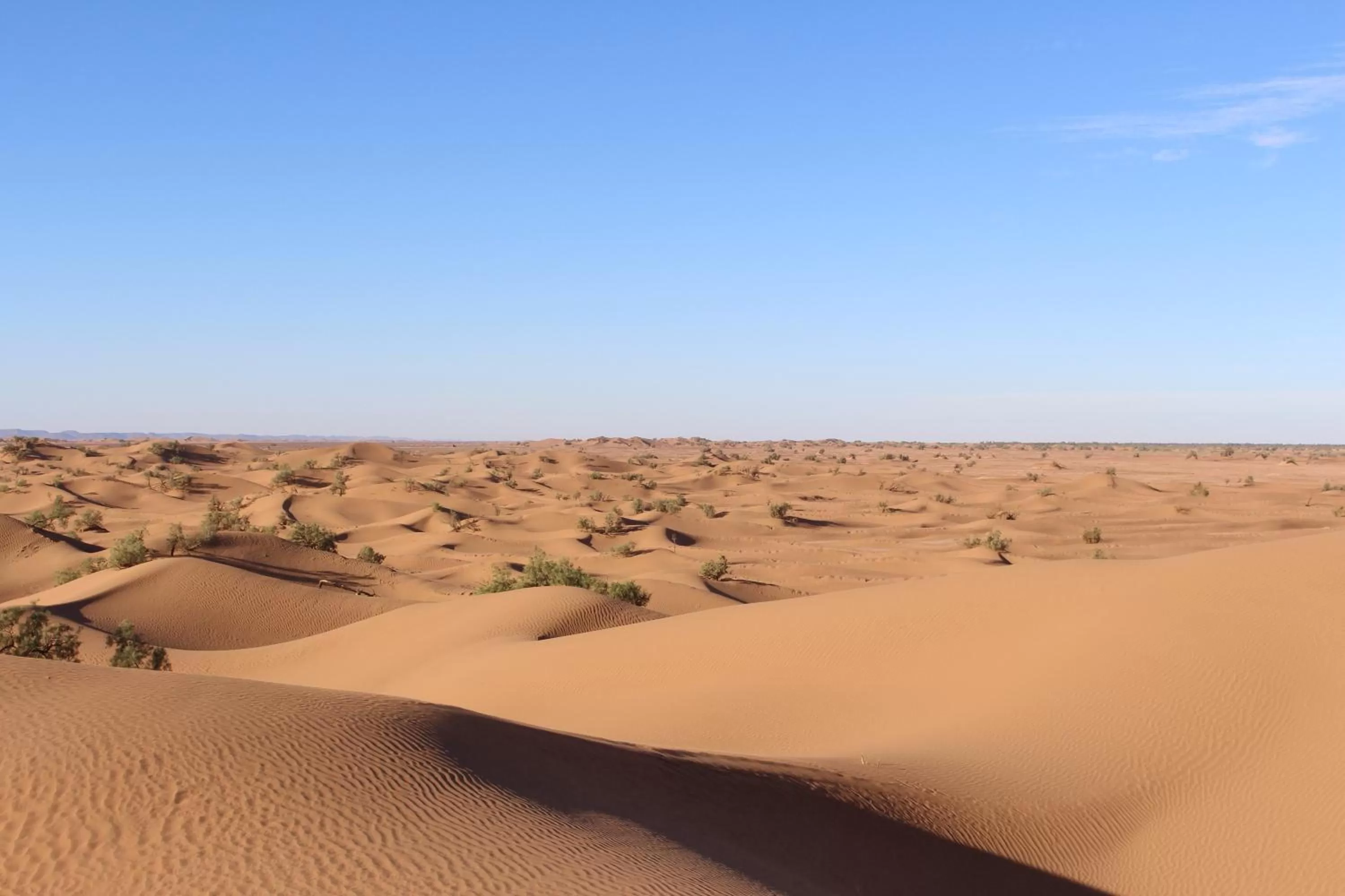 Area and facilities in Dar Paru