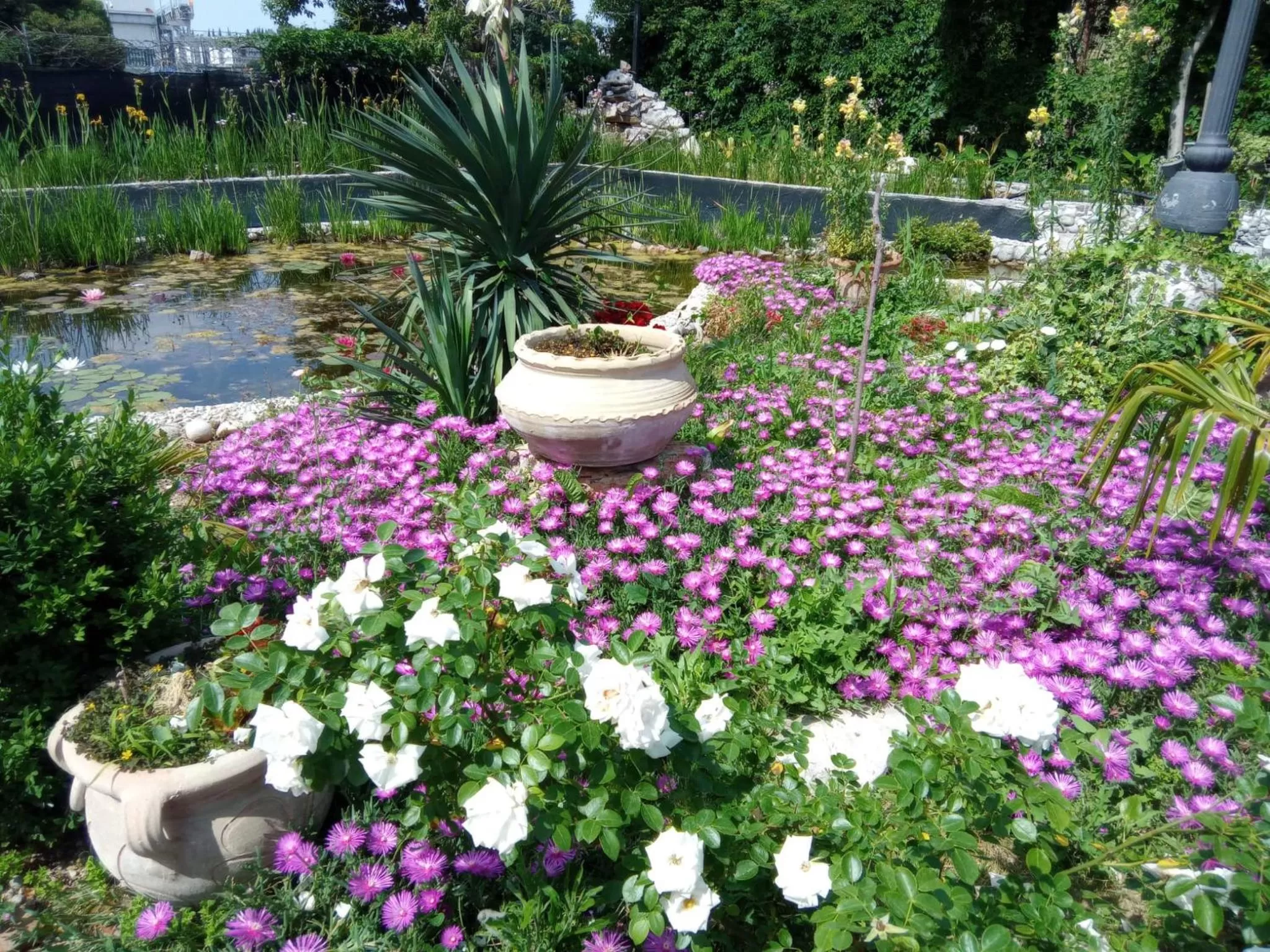 Garden in Villa Fiorita