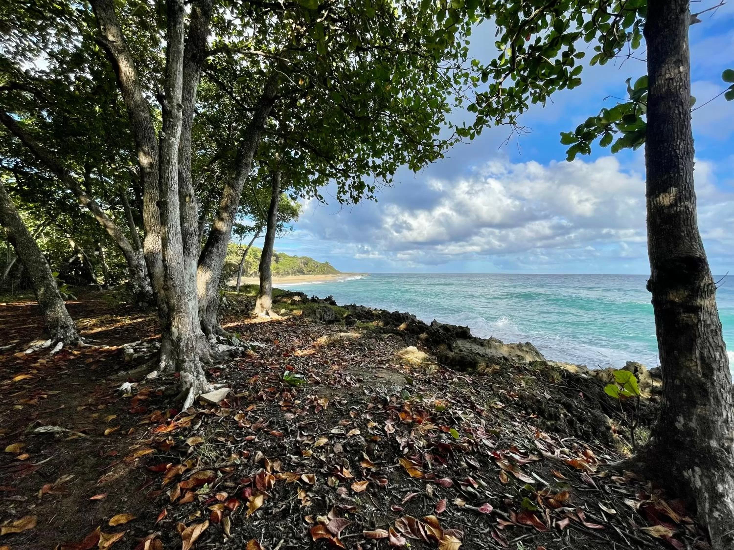 Cabarete Maravilla Eco Lodge Boutique Beach Surf Encuentro, Kite, by AA Crypto Group