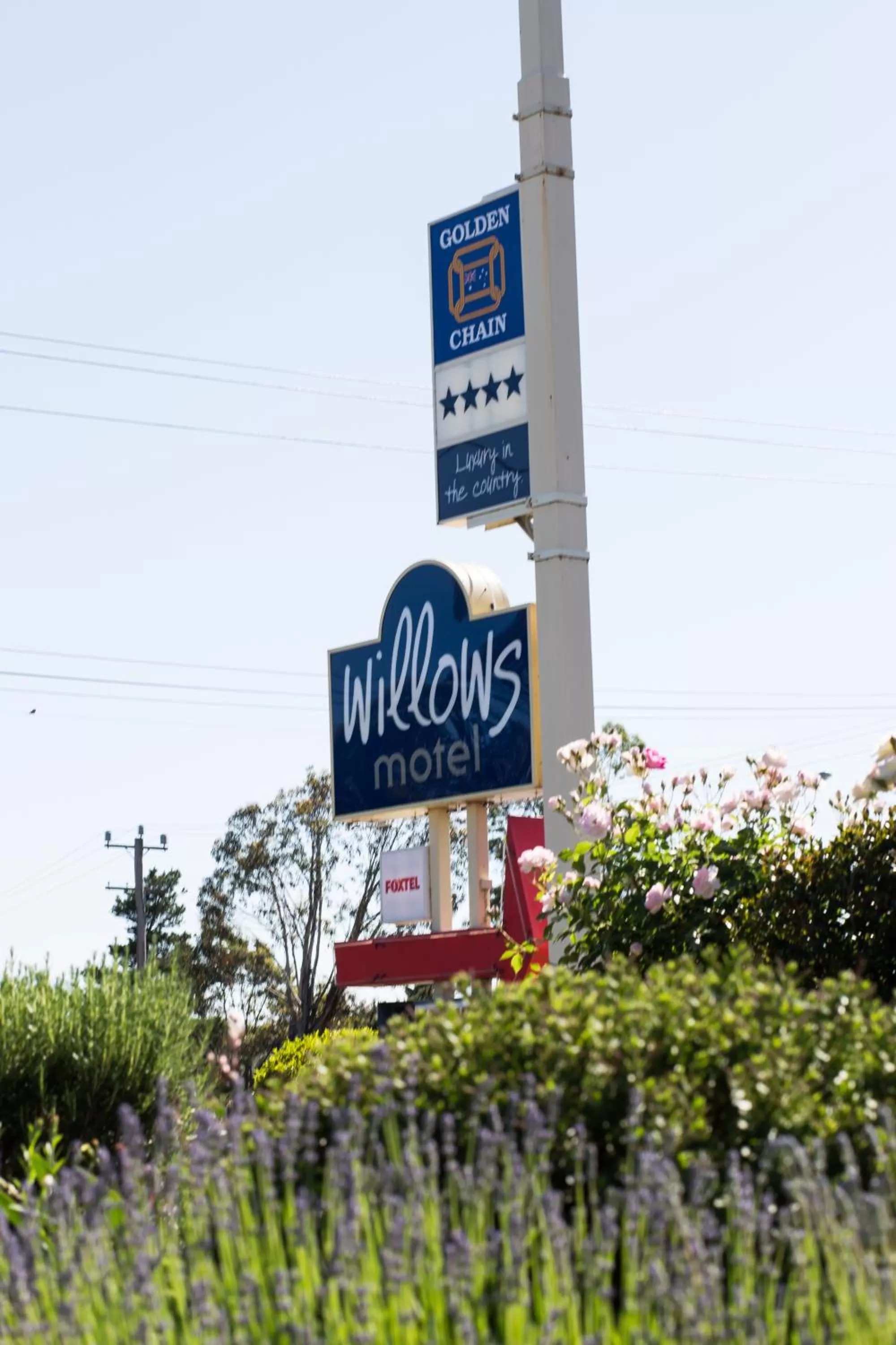Facade/entrance in Willows Motel