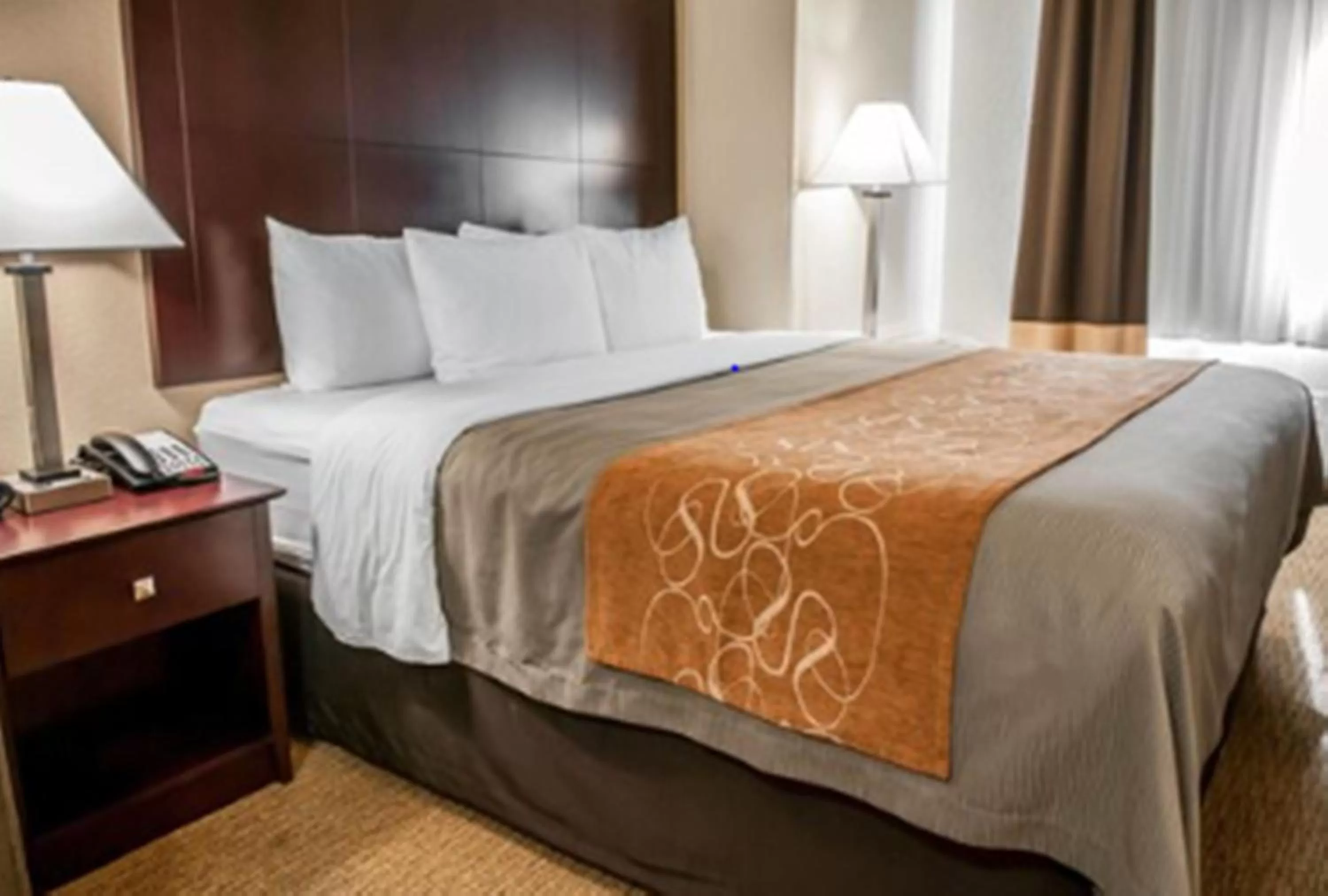 Bed in Comfort Suites Albuquerque-North Journal Center