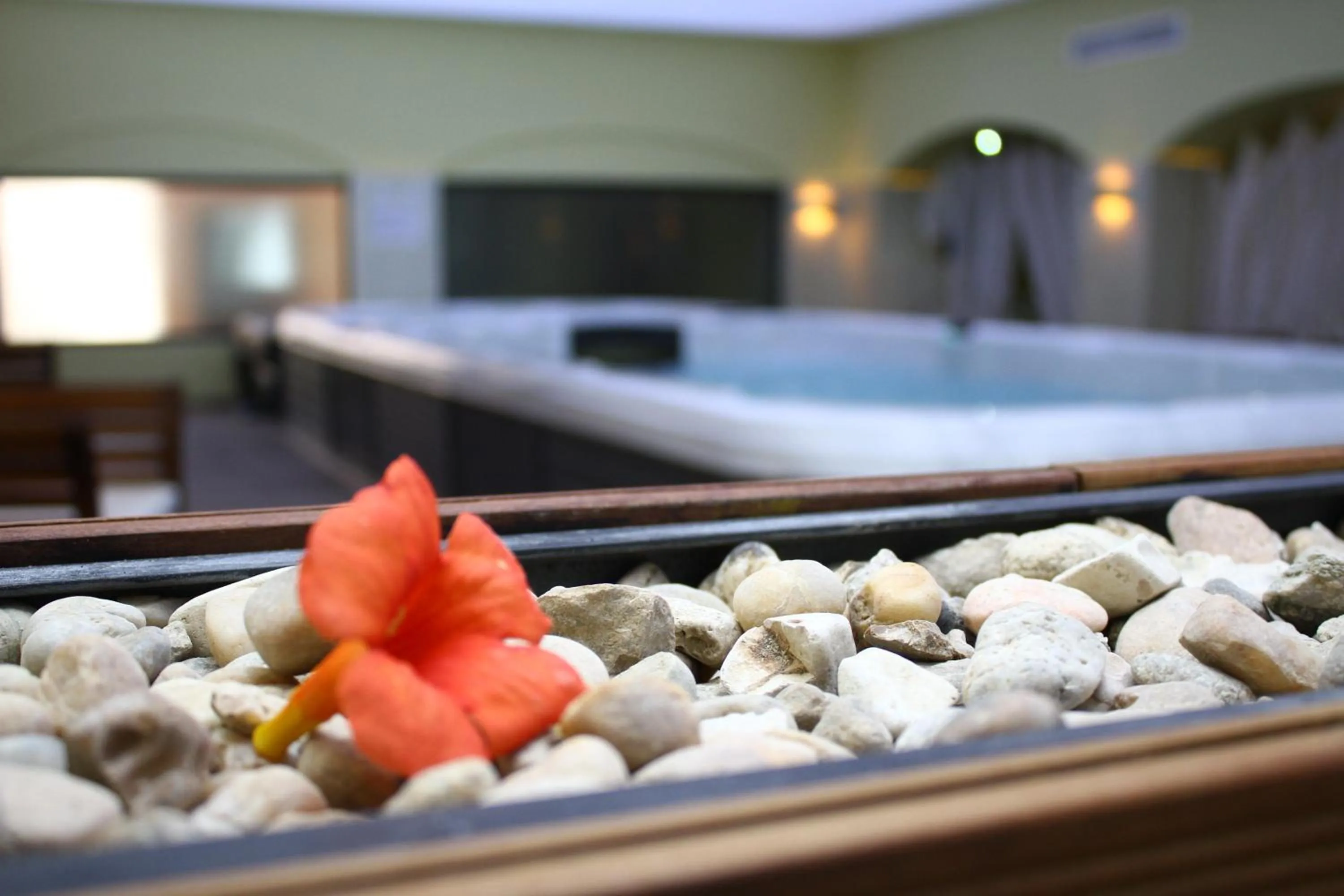 Spa and wellness centre/facilities, Bed in White Rock Castle Suite Hotel & SPA
