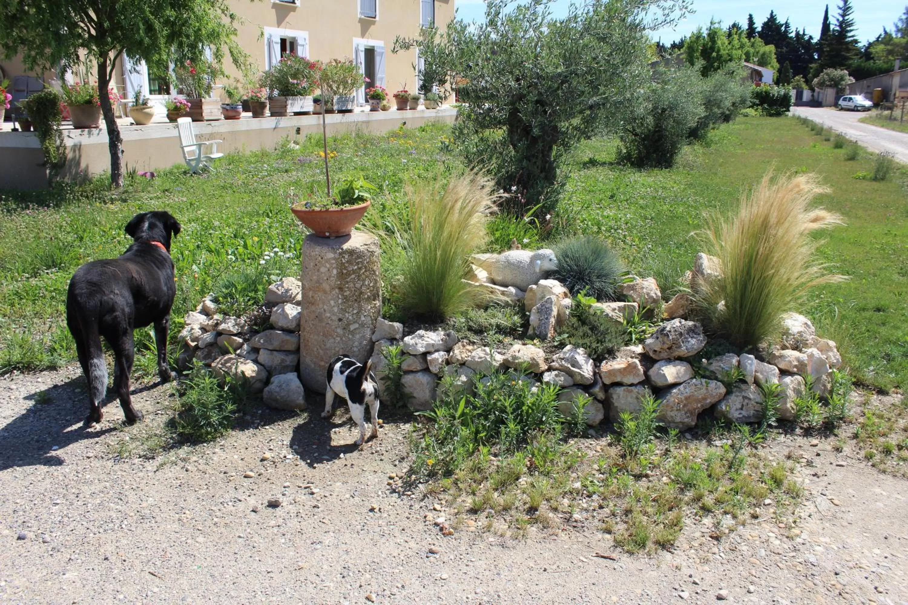 Garden view in La Sarriette - Chambres d'hôtes et gîte d'étape à Eygalières