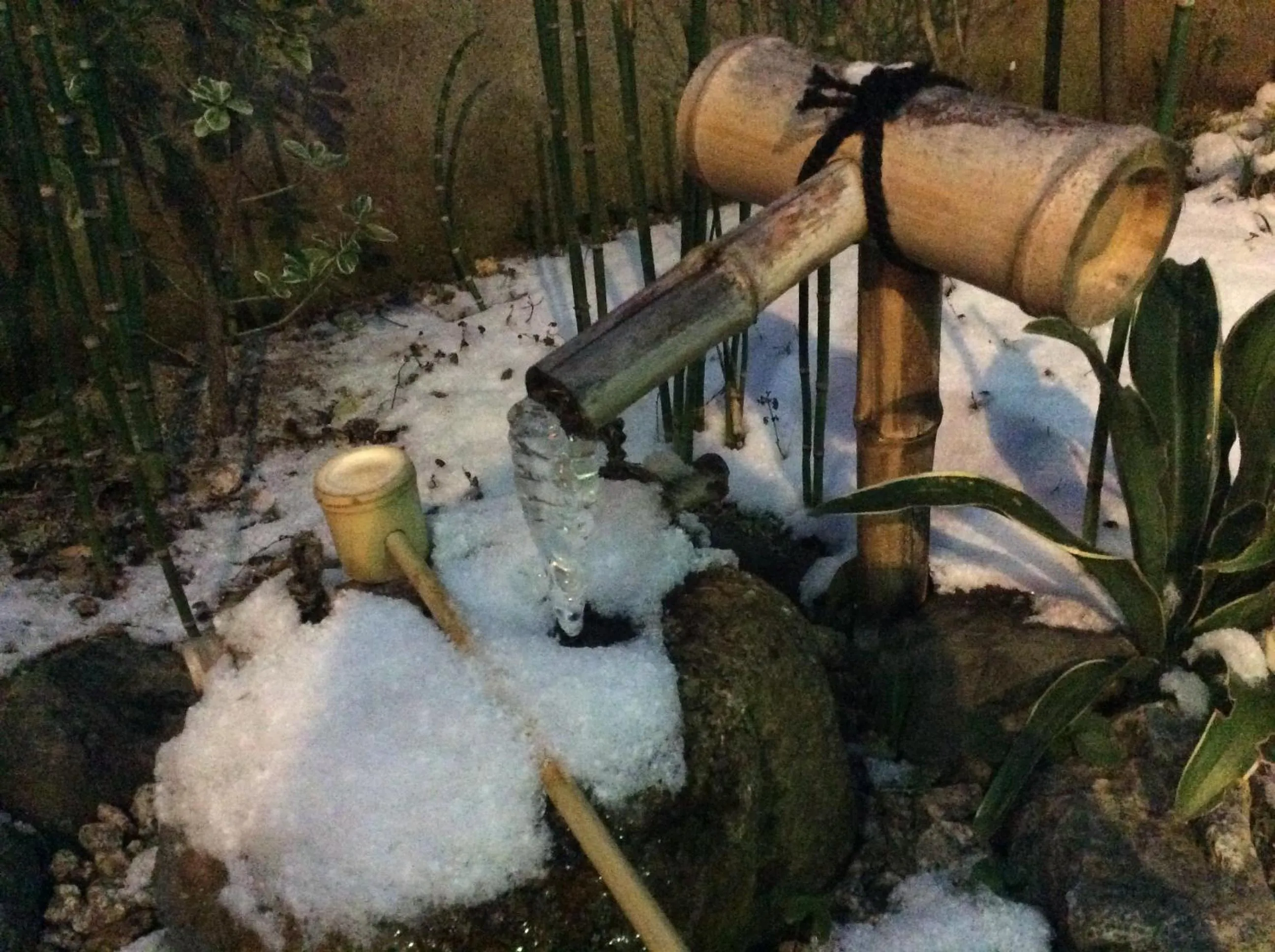 Area and facilities in Guesthouse HANA Nishijin