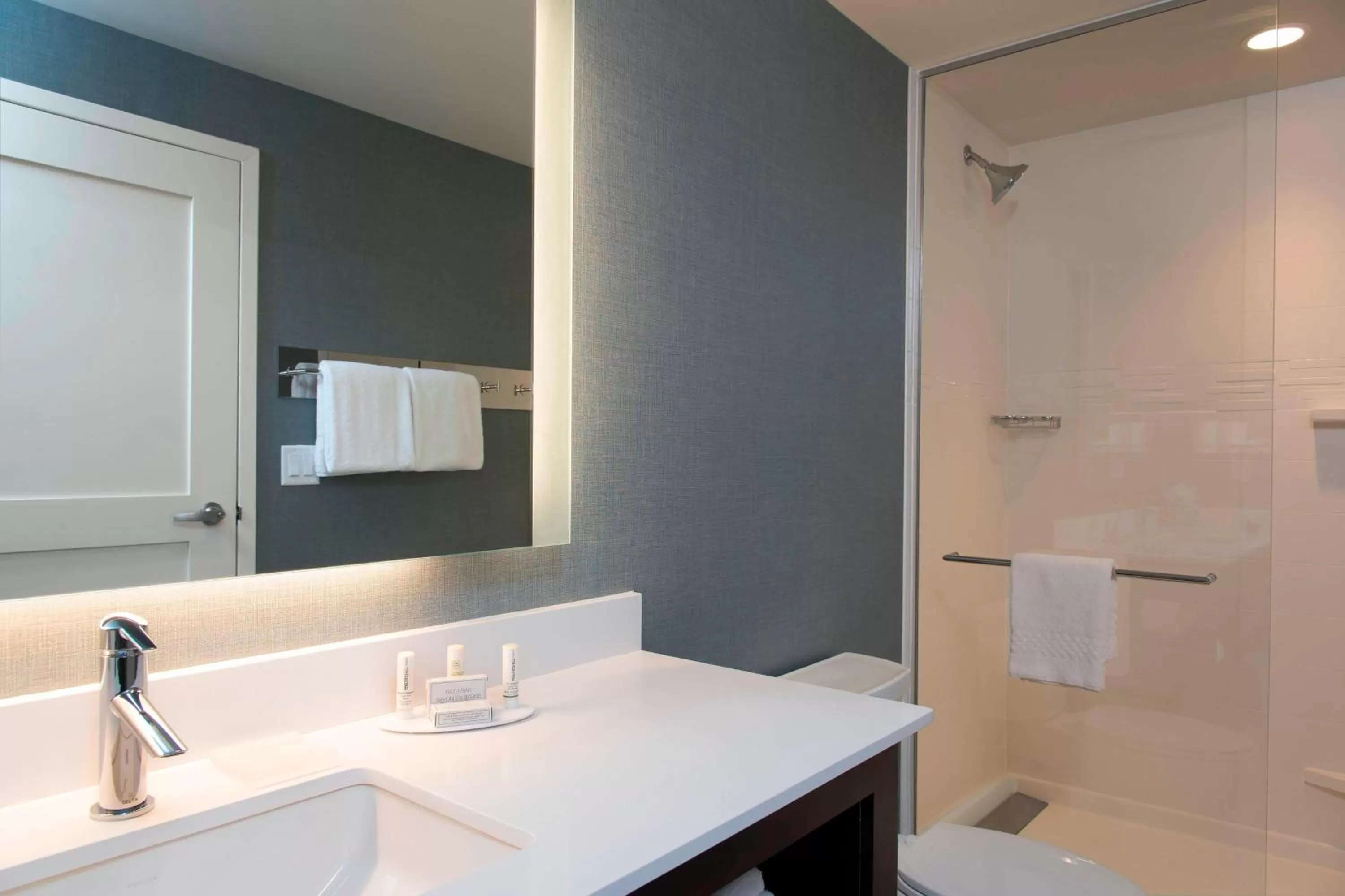 Bathroom in Residence Inn by Marriott Ann Arbor Downtown