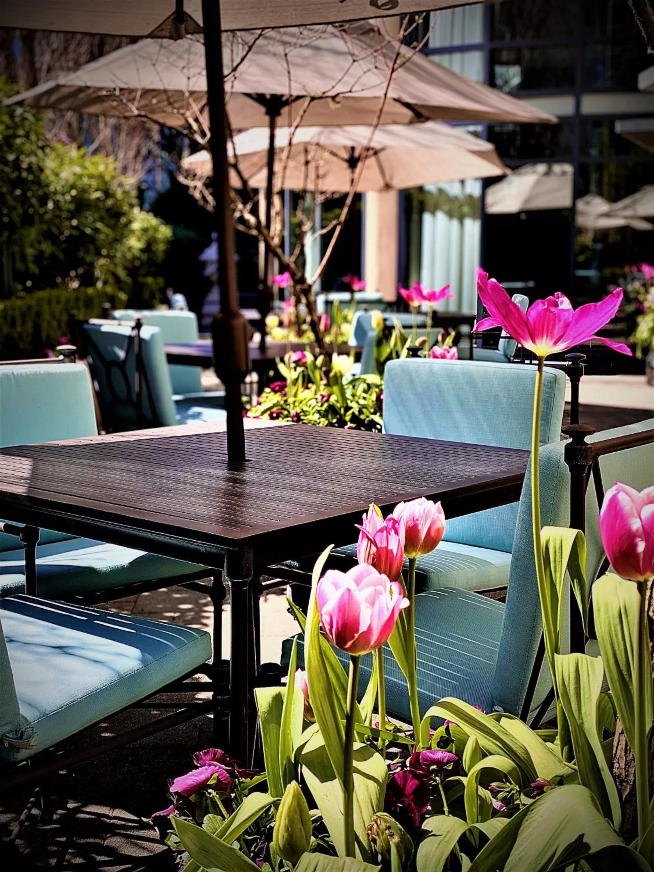 Patio in L'Hermitage Hotel