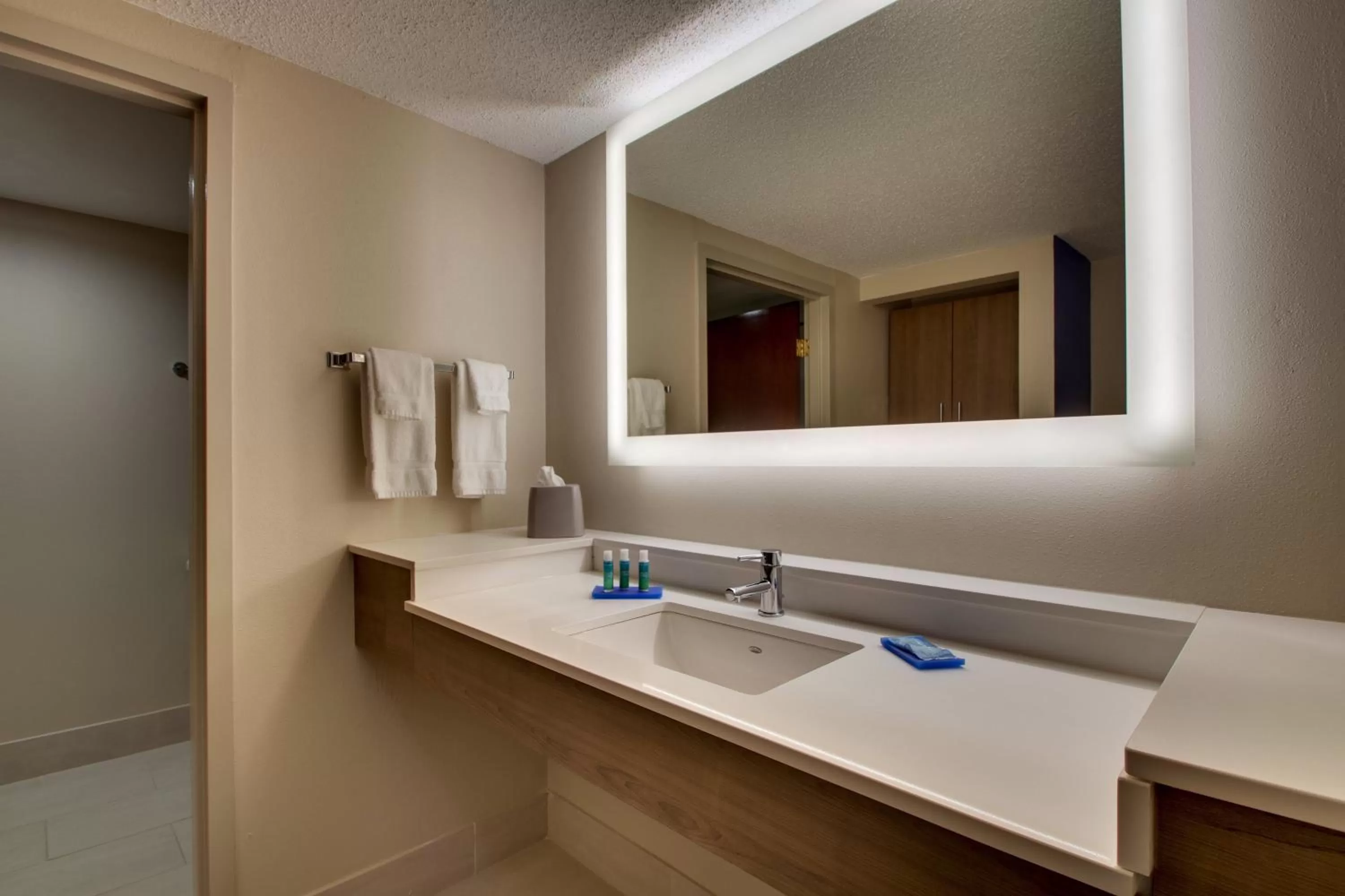 Bathroom in Holiday Inn Express - Horse Cave by IHG