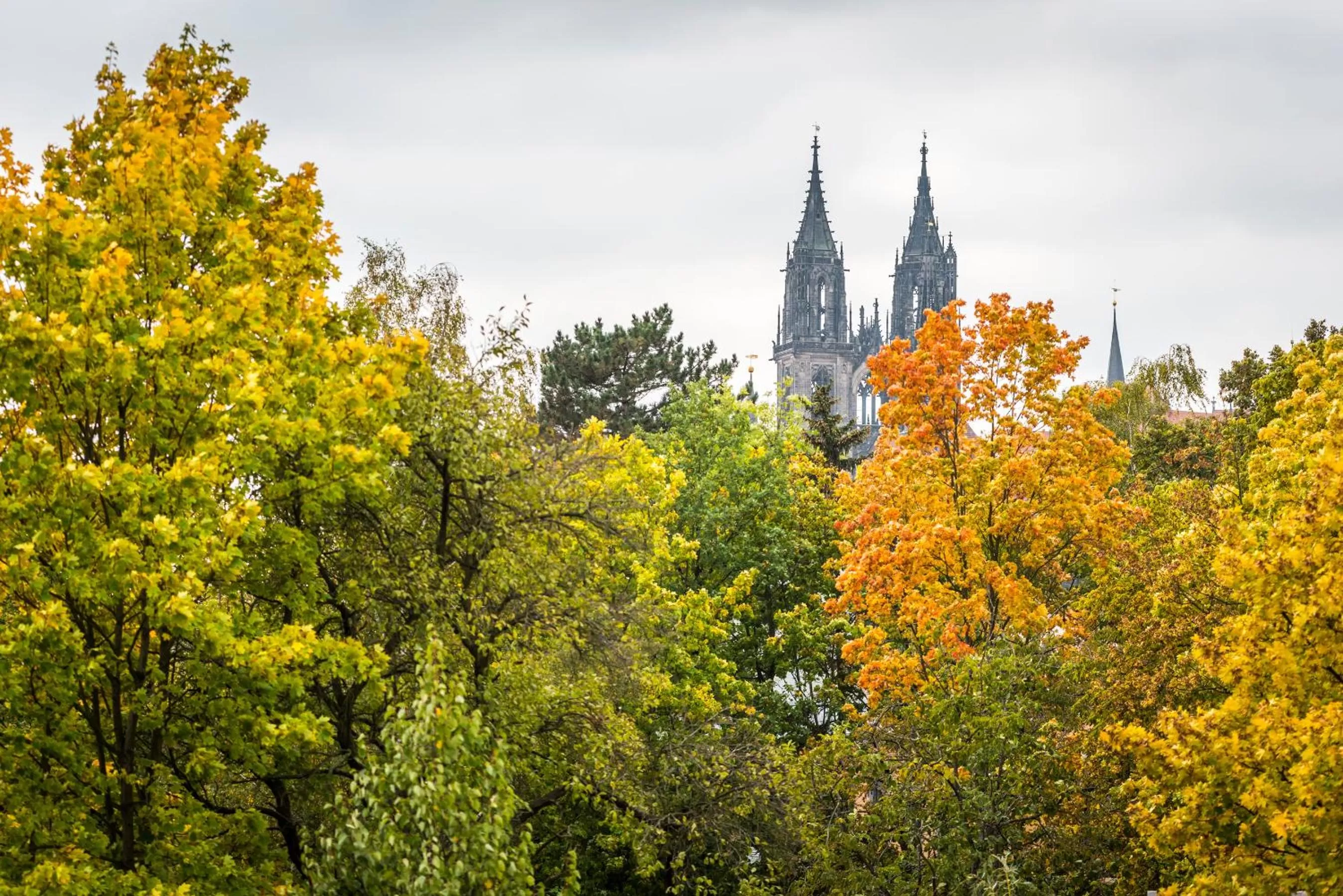 Landmark view in Hotel Wellness Goldenes Fass Meißen