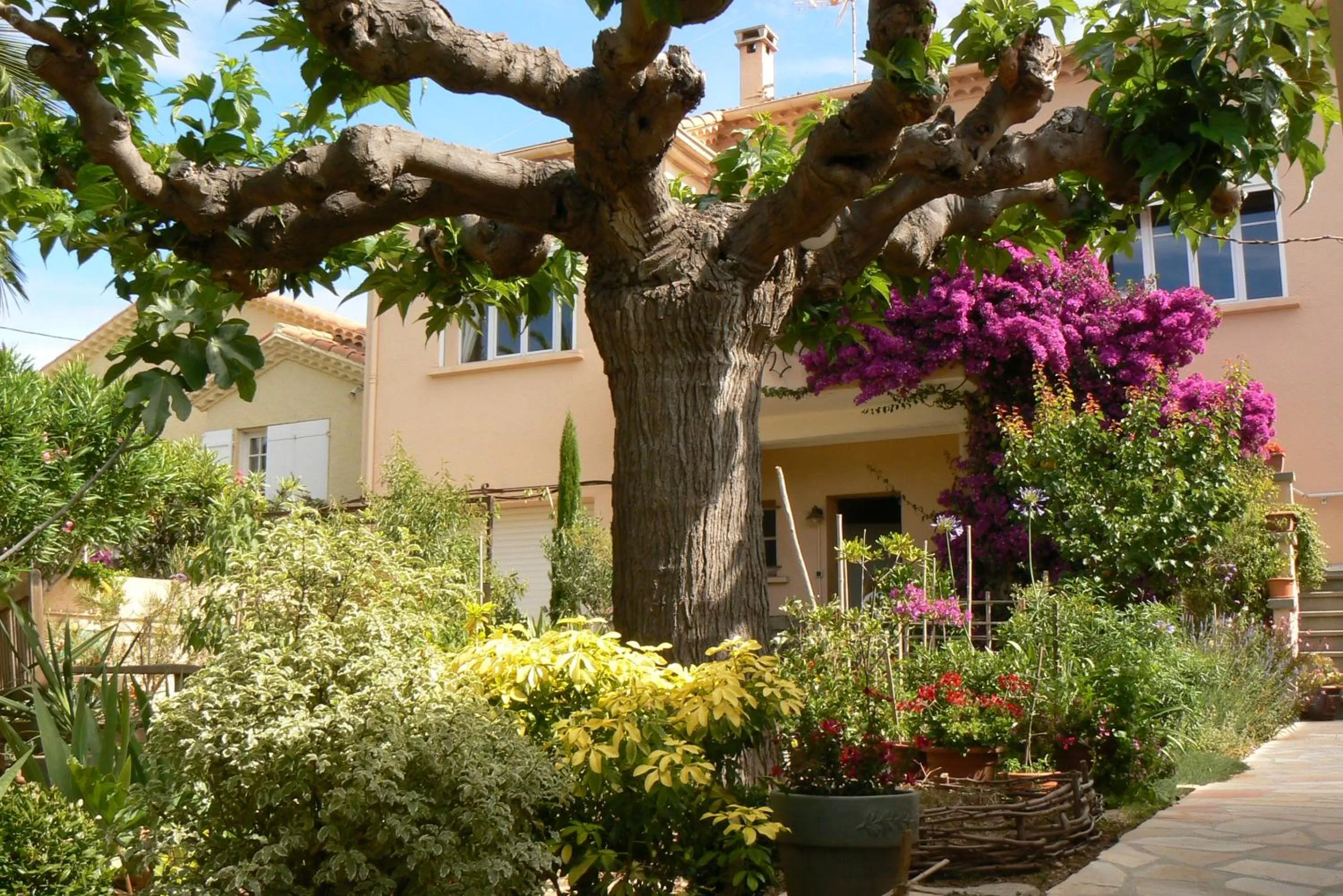 Facade/entrance in L' Escale Tranquille
