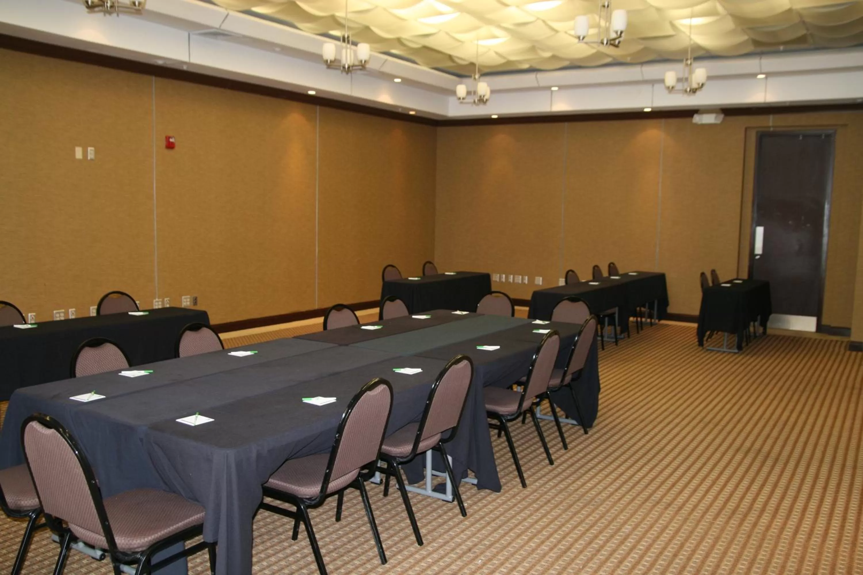 Meeting/conference room in Holiday Inn Macon North by IHG
