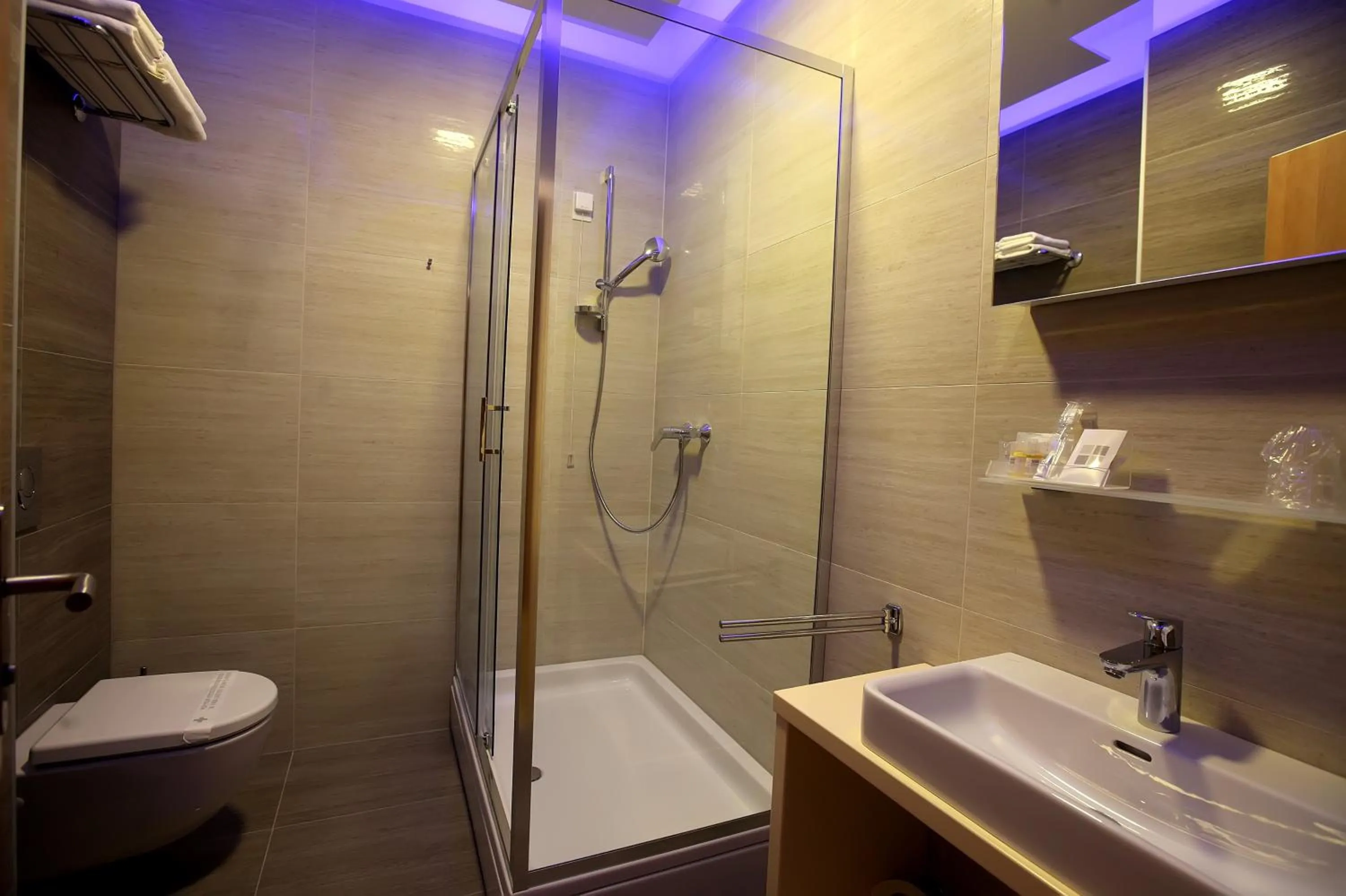 Twin Room in Hotel Gallus