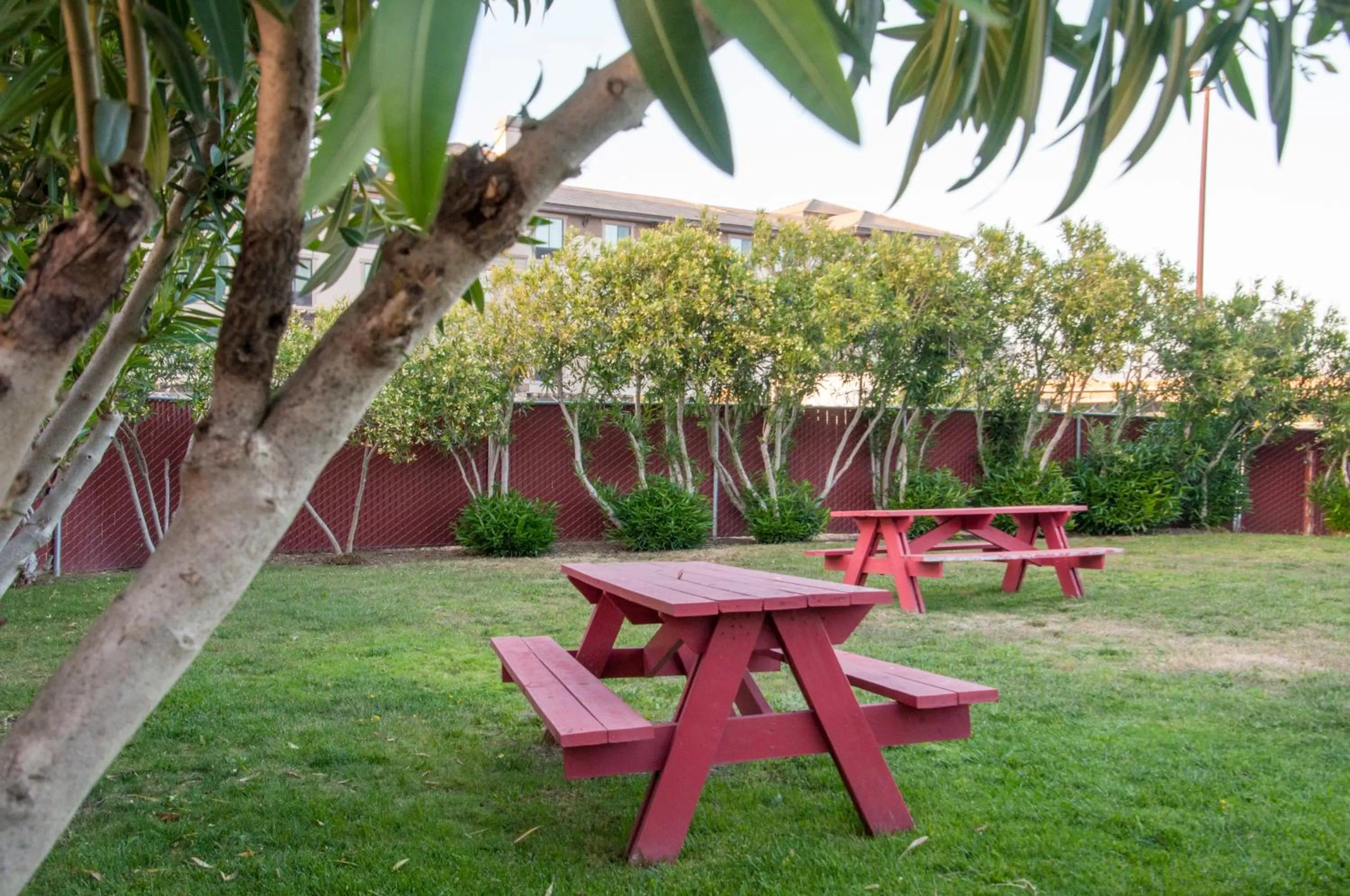 BBQ facilities in Hotel Calle Joaquin - San Luis Obispo